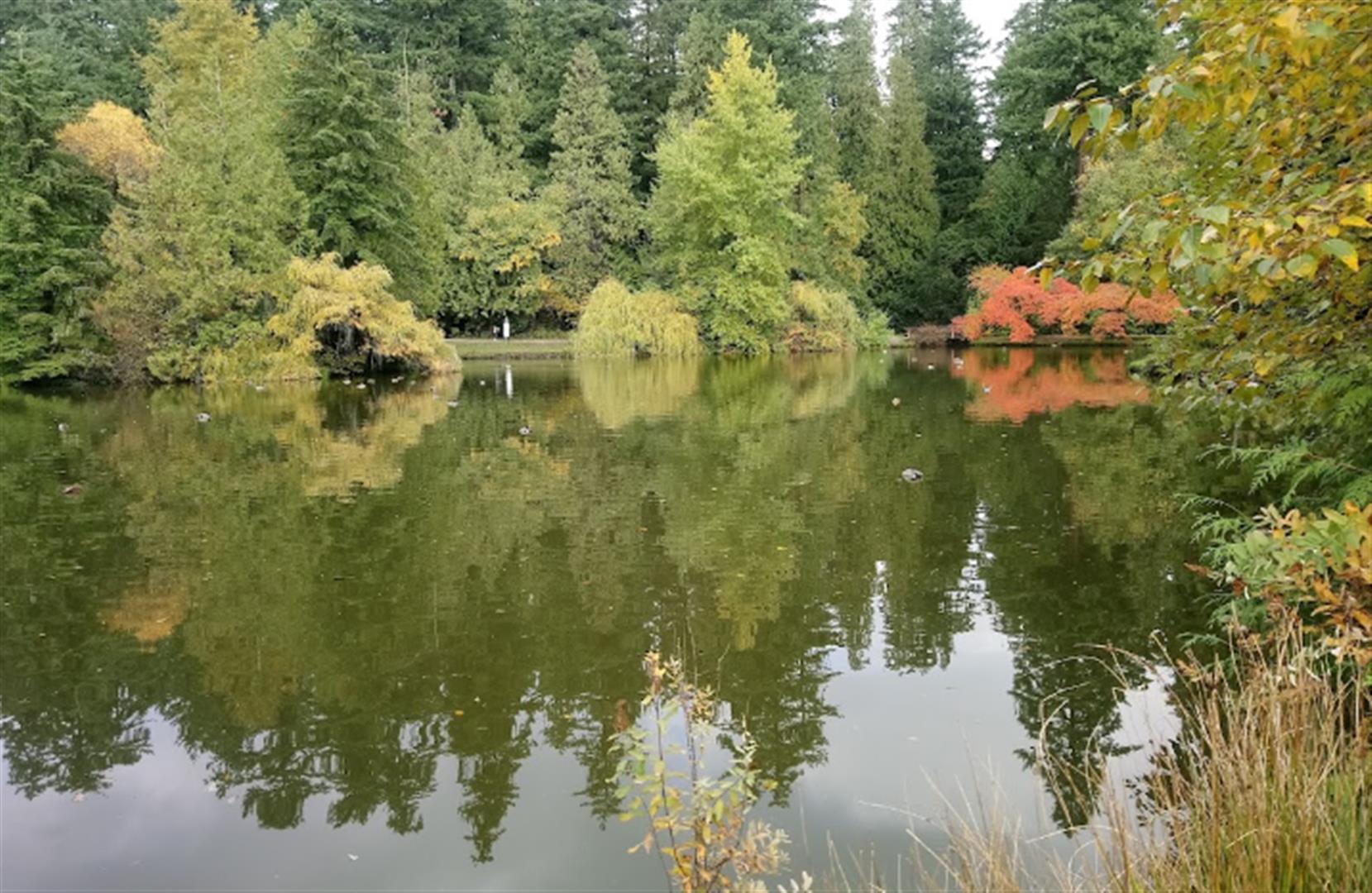Central Park - Vancouver