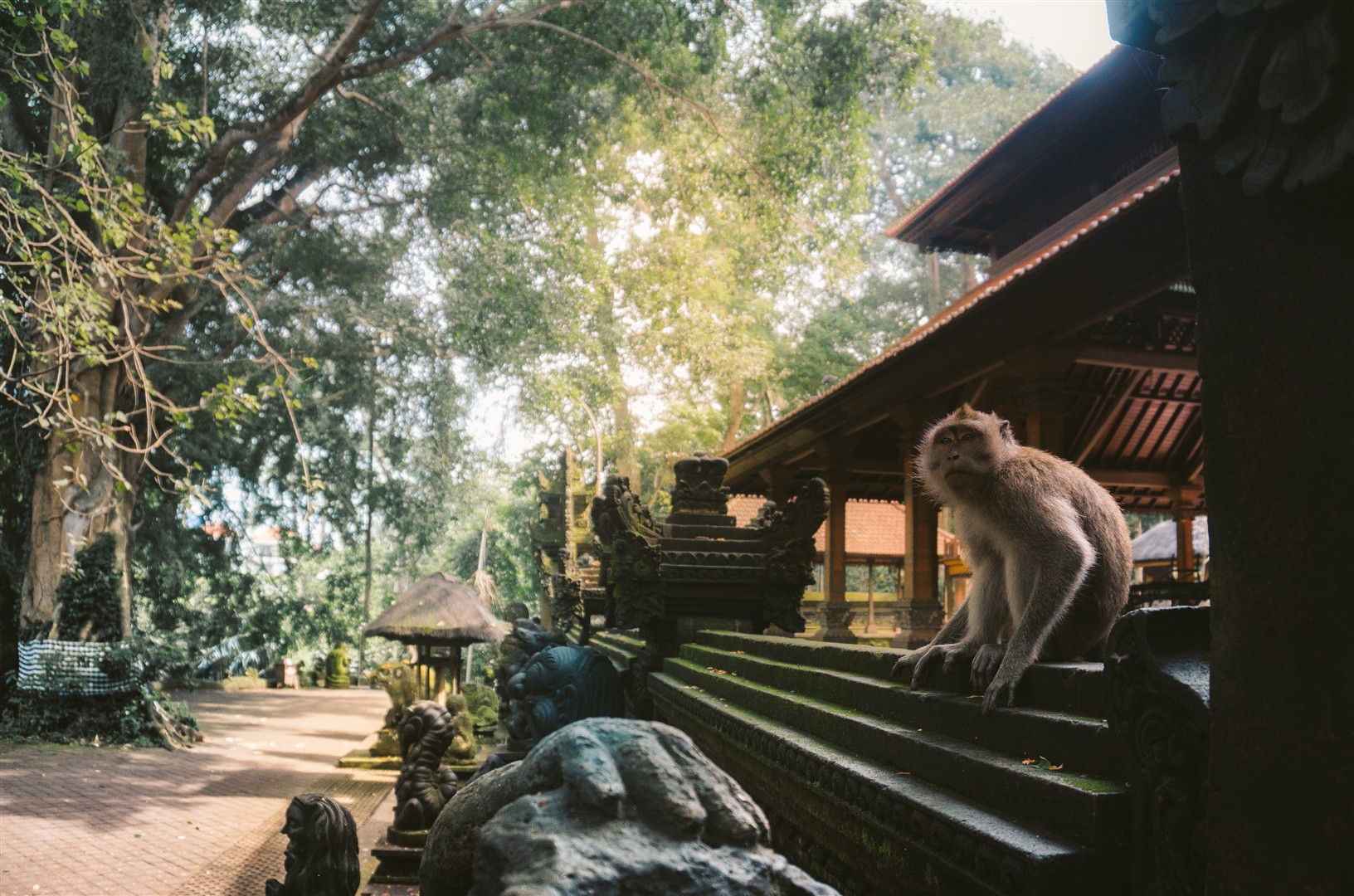 Sacred Monkey Forest Sanctuary (Denpasar)
