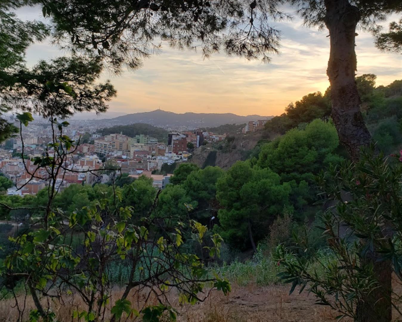 Parc del Guinardó
