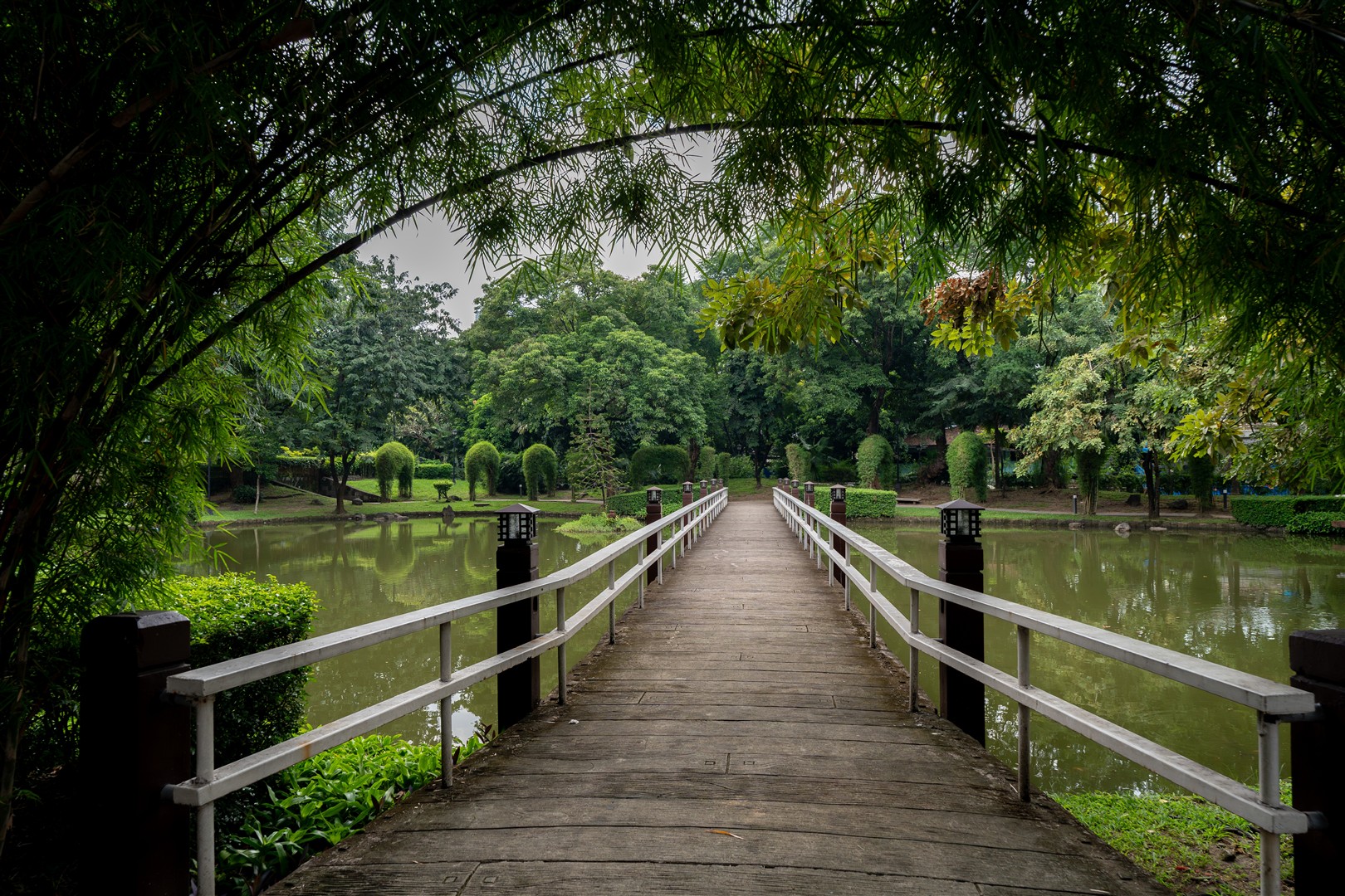 Shutter Stock