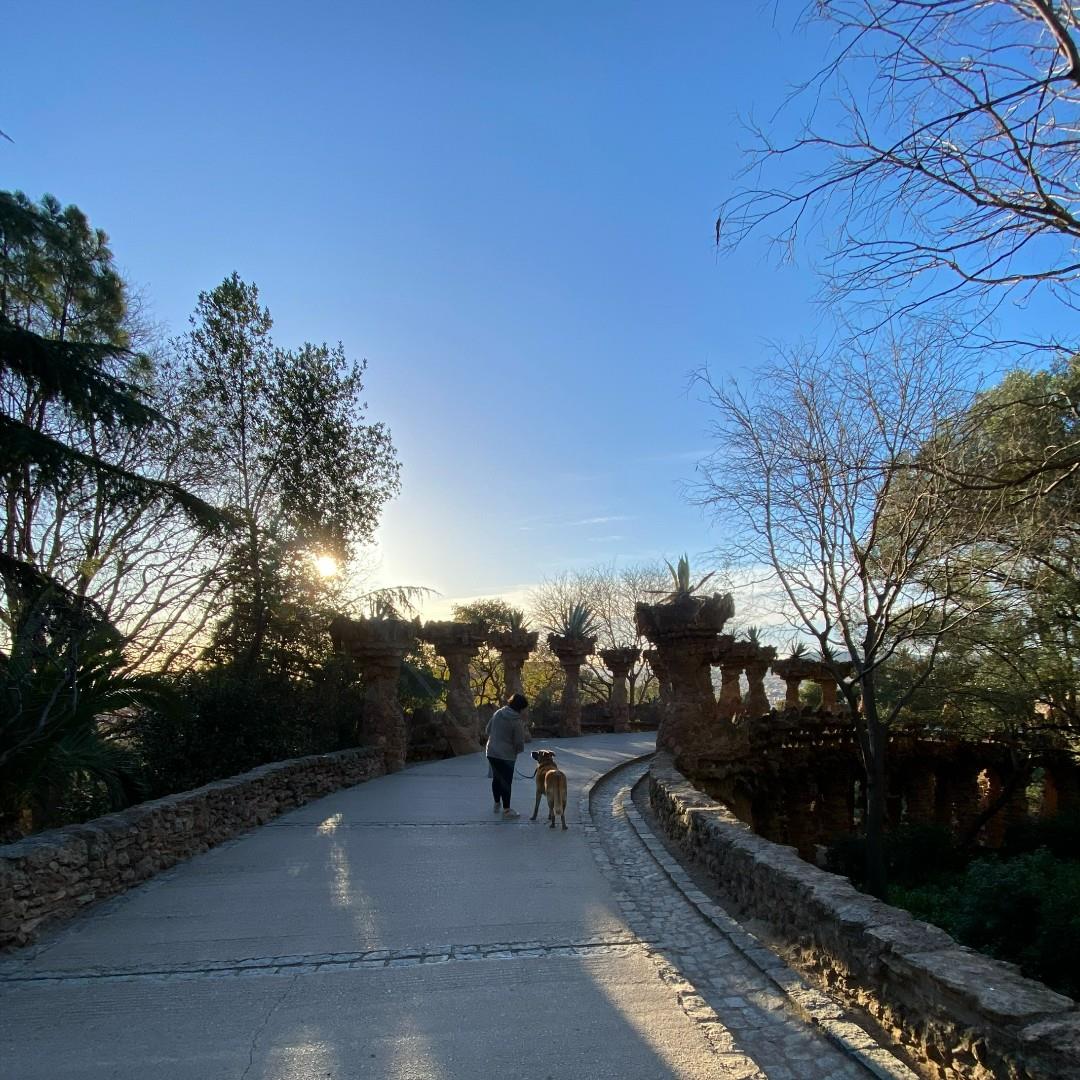 Park Guell