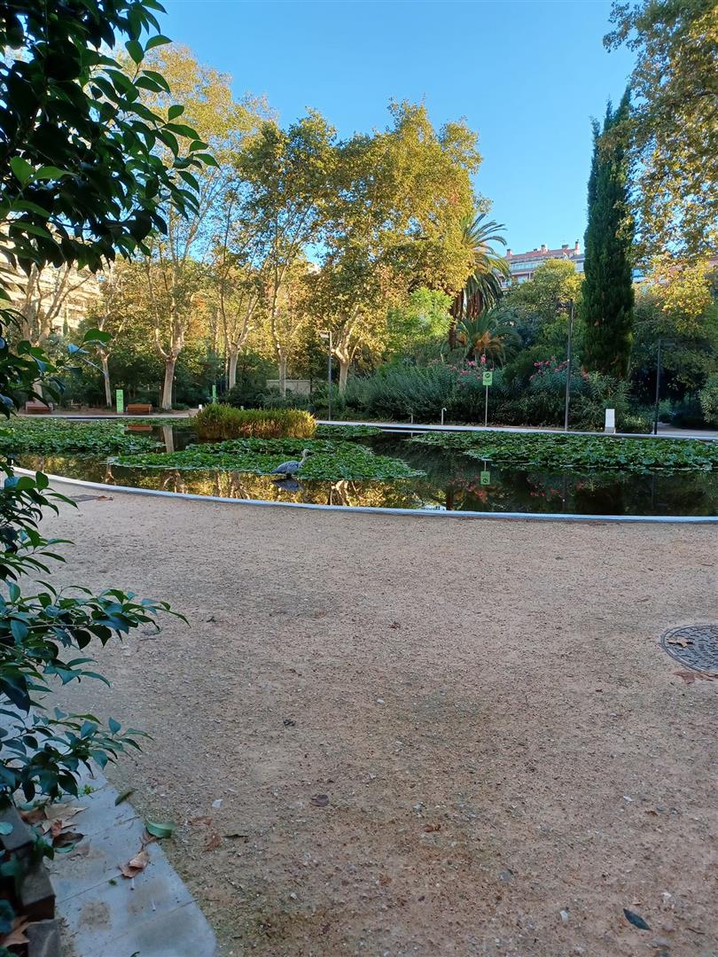 Parc del Turó