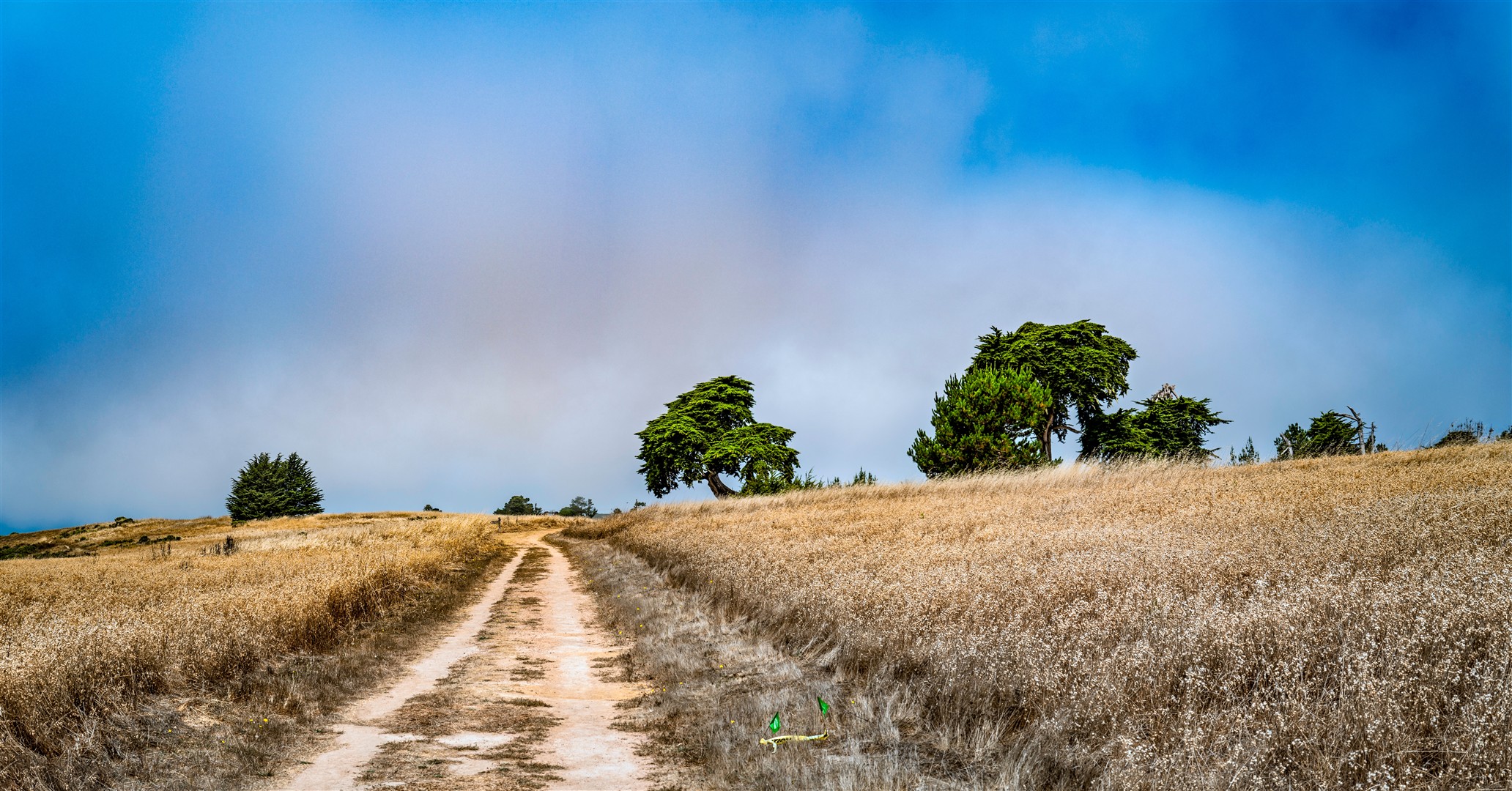 Shutter Stock
