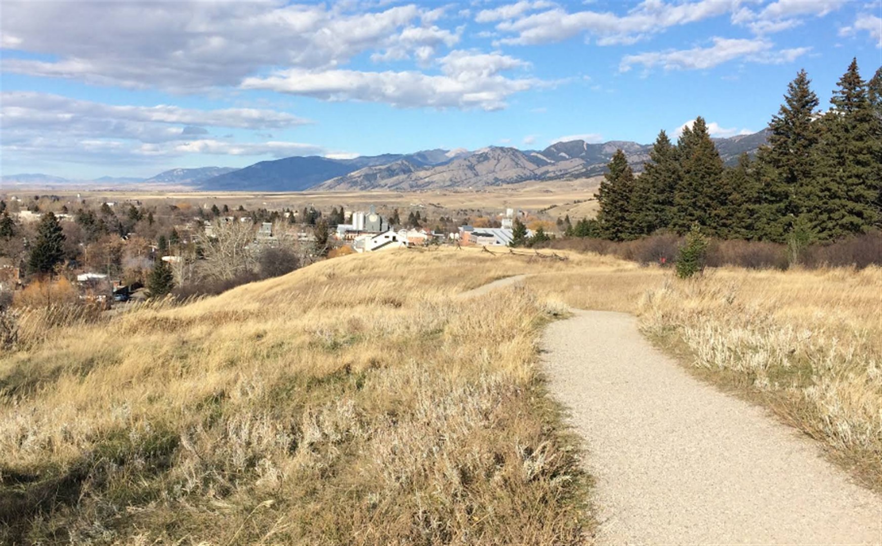 Peets Hill/Burke Park
