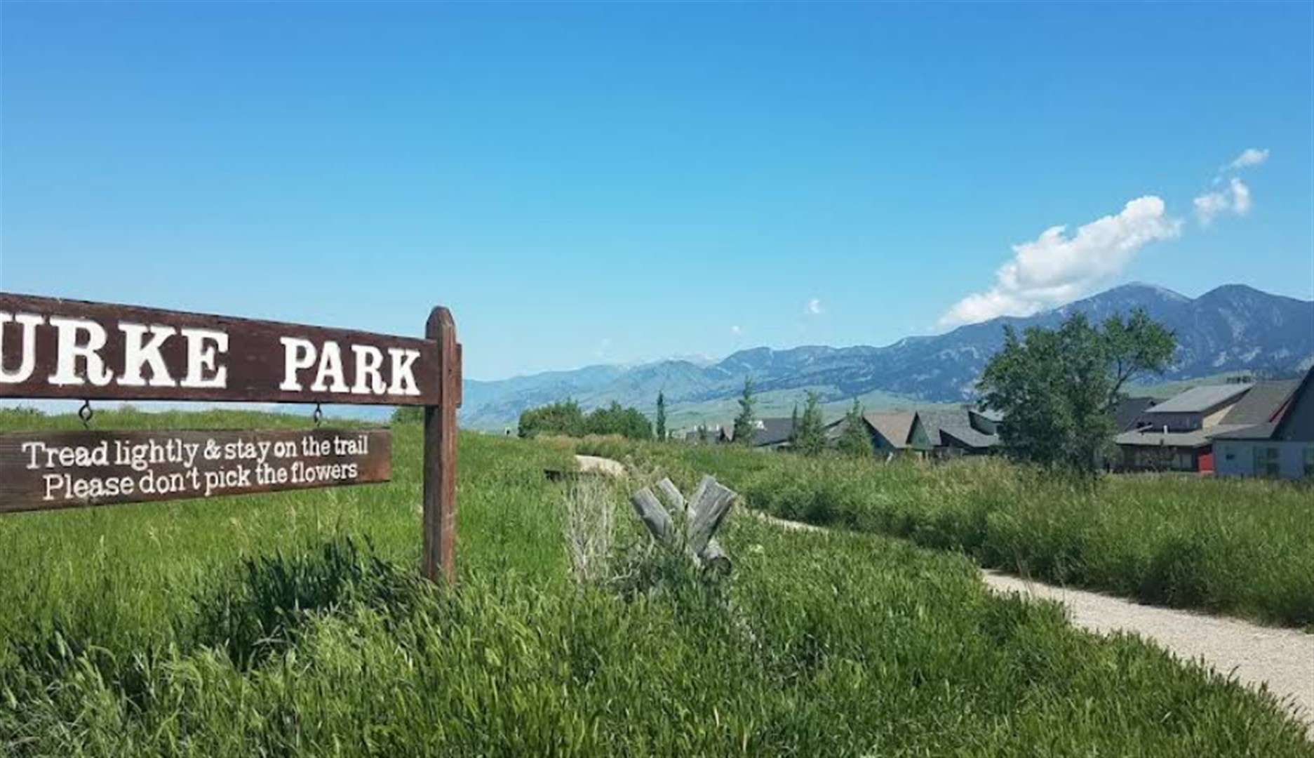 Peets Hill/Burke Park