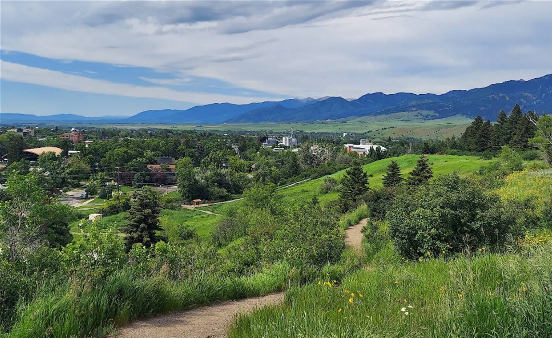 Peets Hill/Burke Park