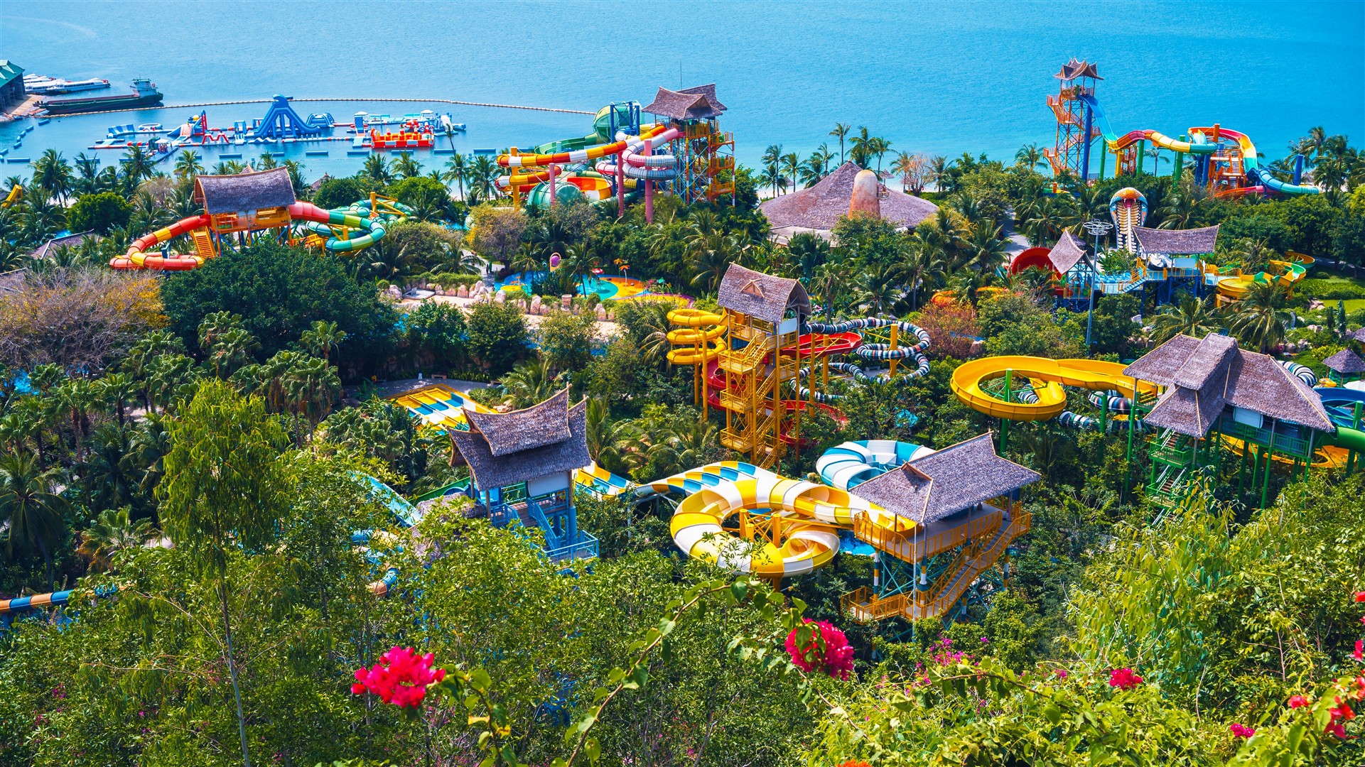 Shutter Stock