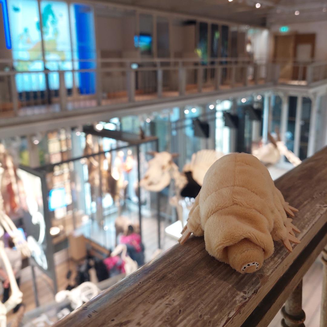 Micropia