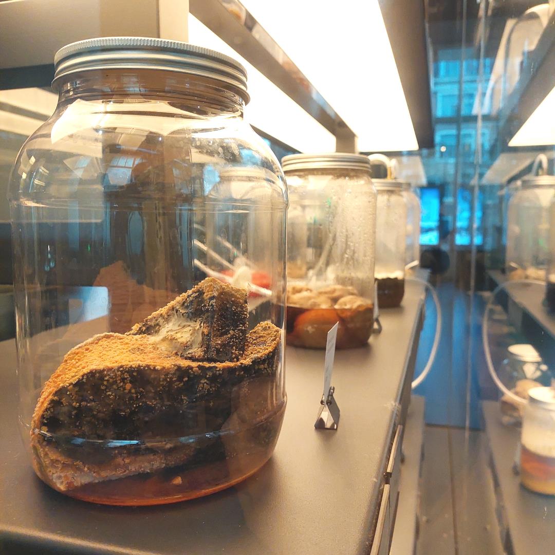 Micropia