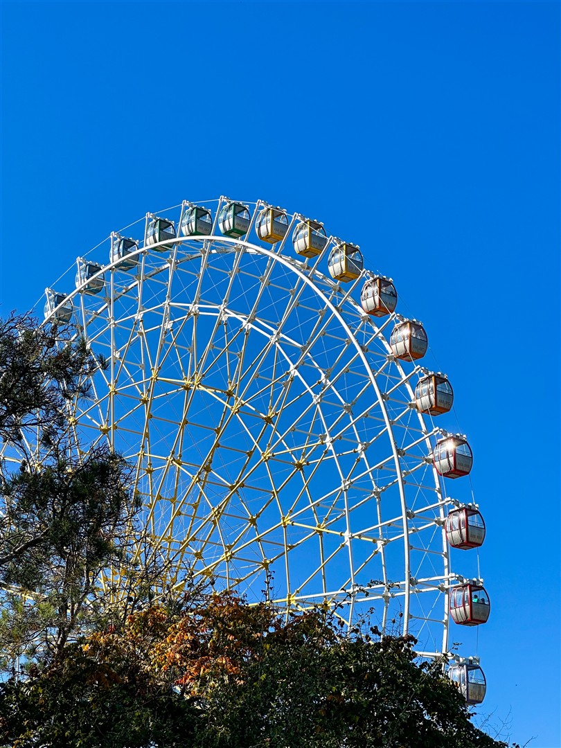 Shutter Stock