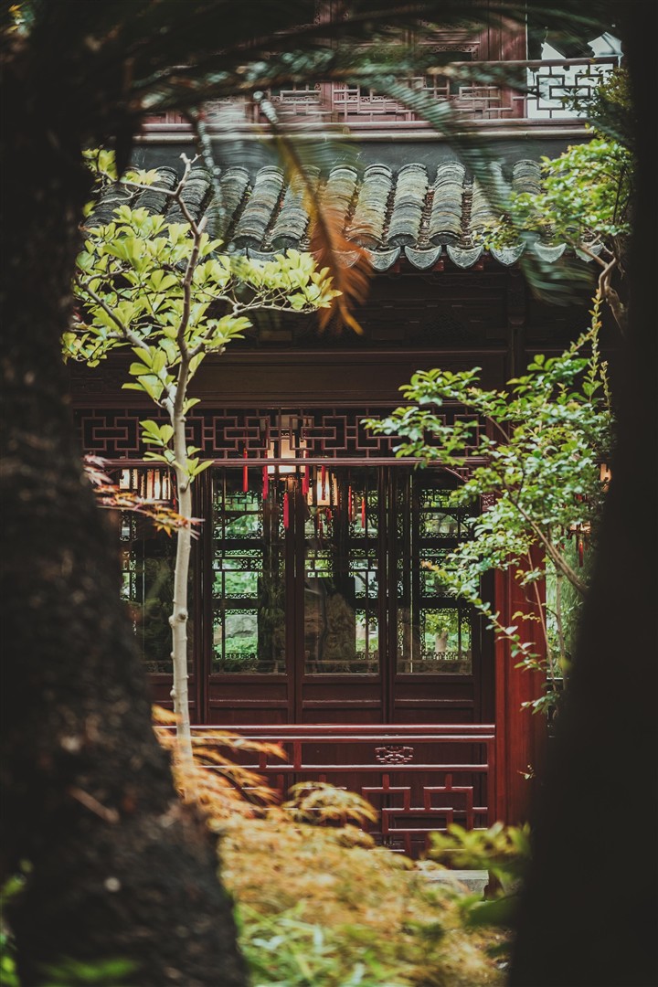Shutter Stock