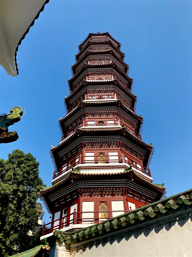 Shutter Stock