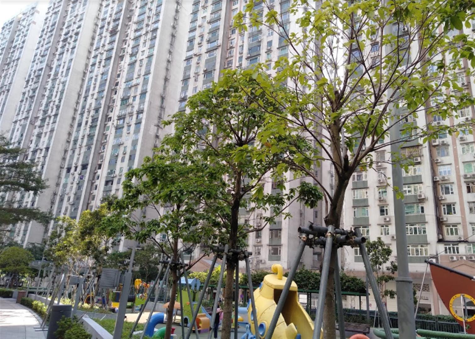 Taipa Central Park