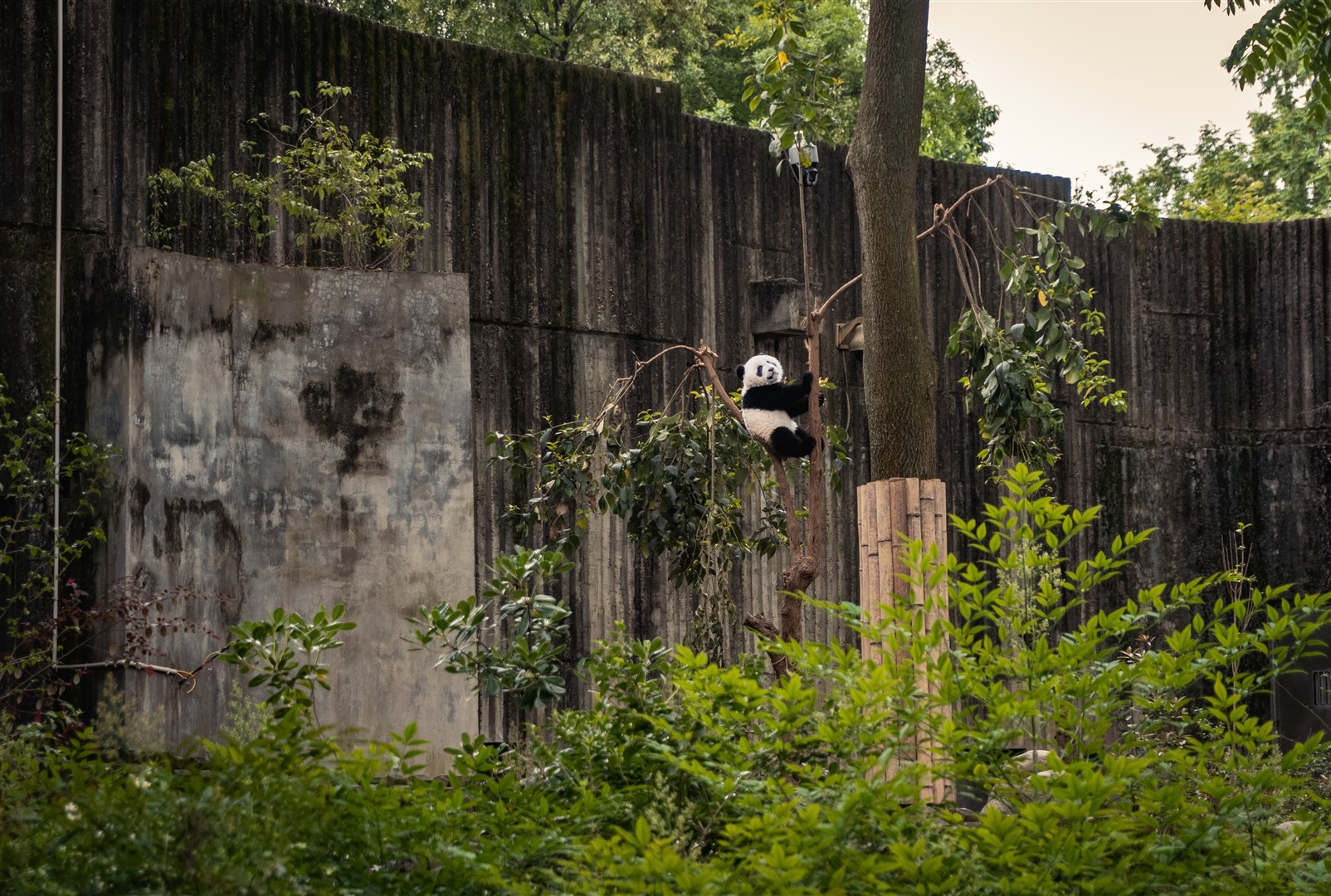 Shutter Stock