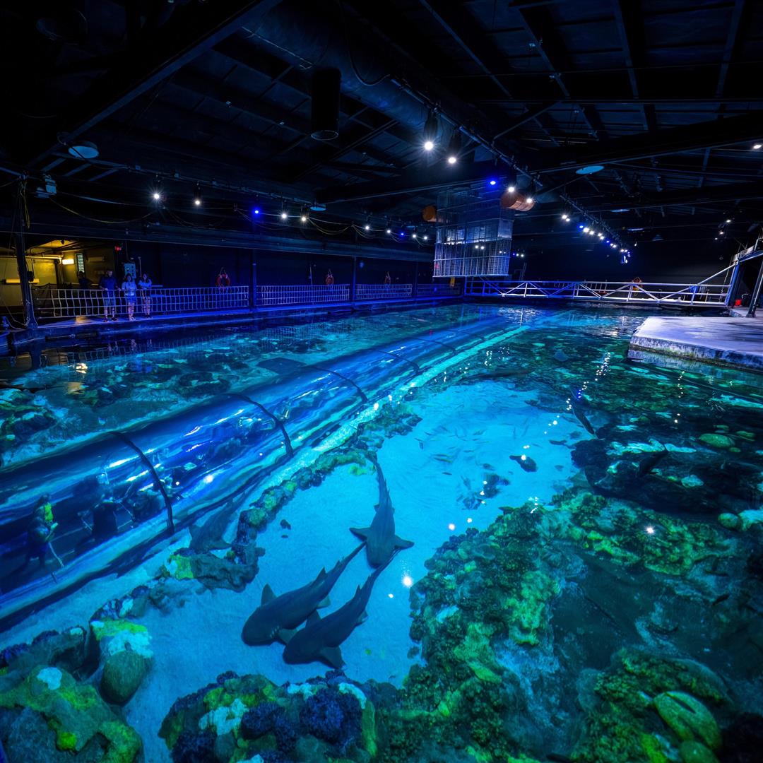 SeaWorld Orlando