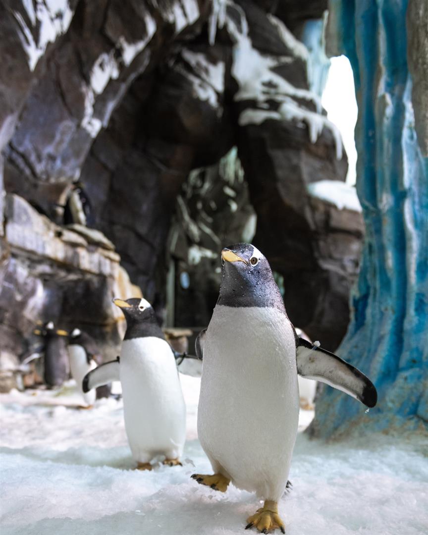 SeaWorld Orlando