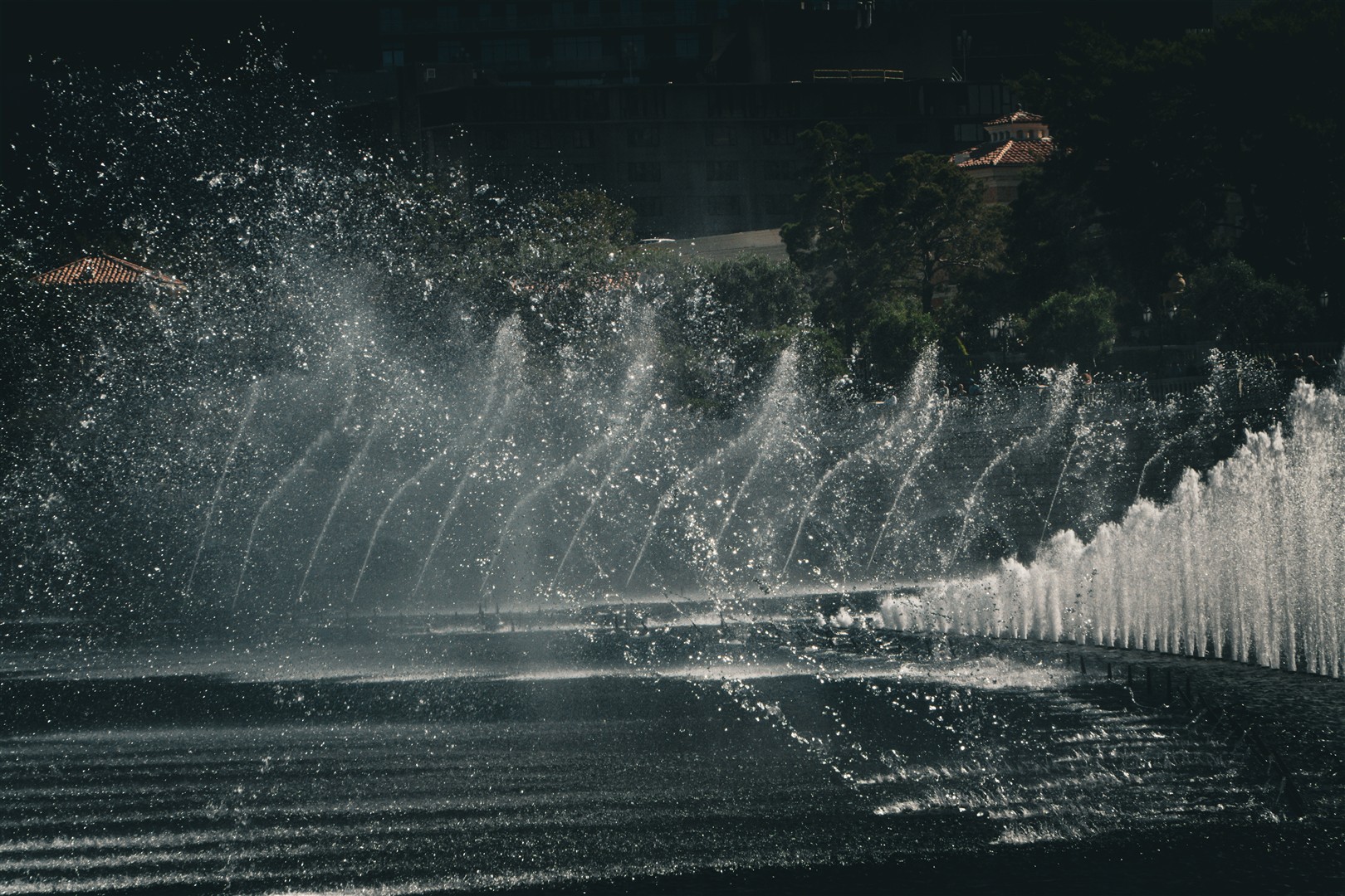 Shutter Stock