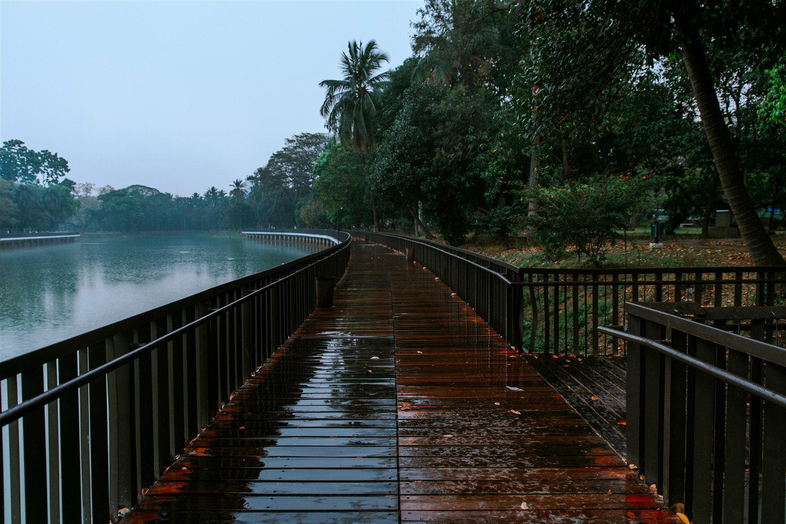 Shutter Stock