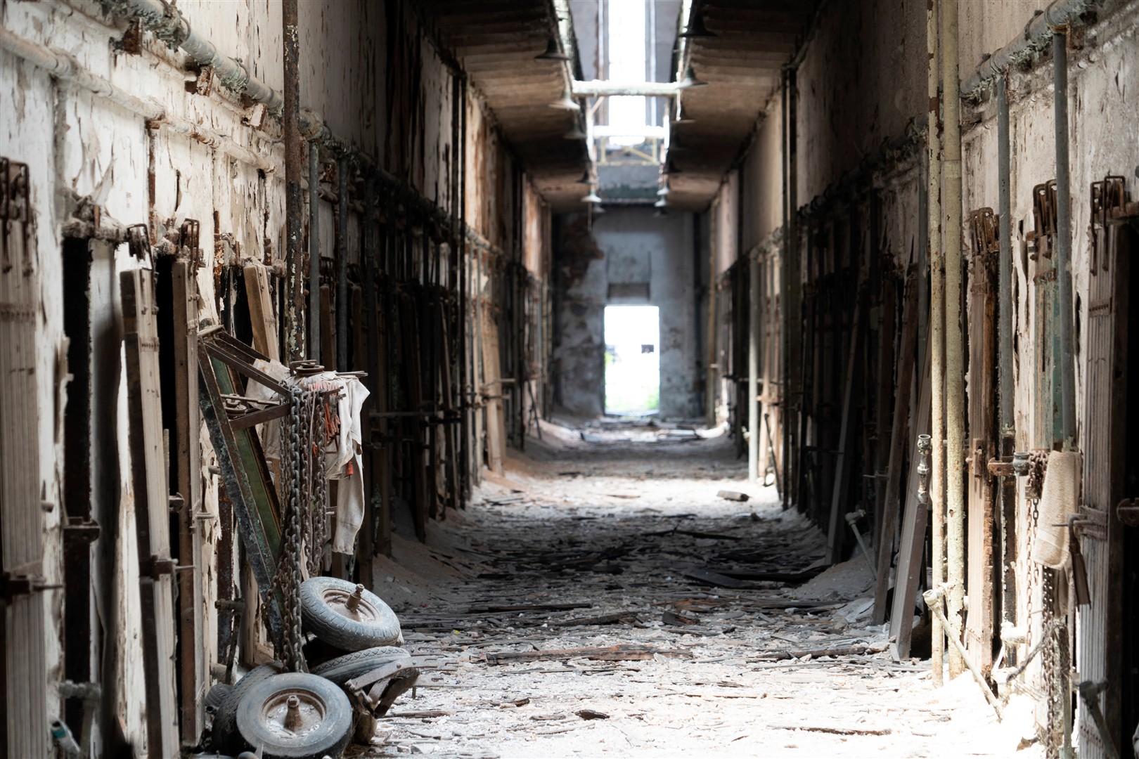 Shutter Stock