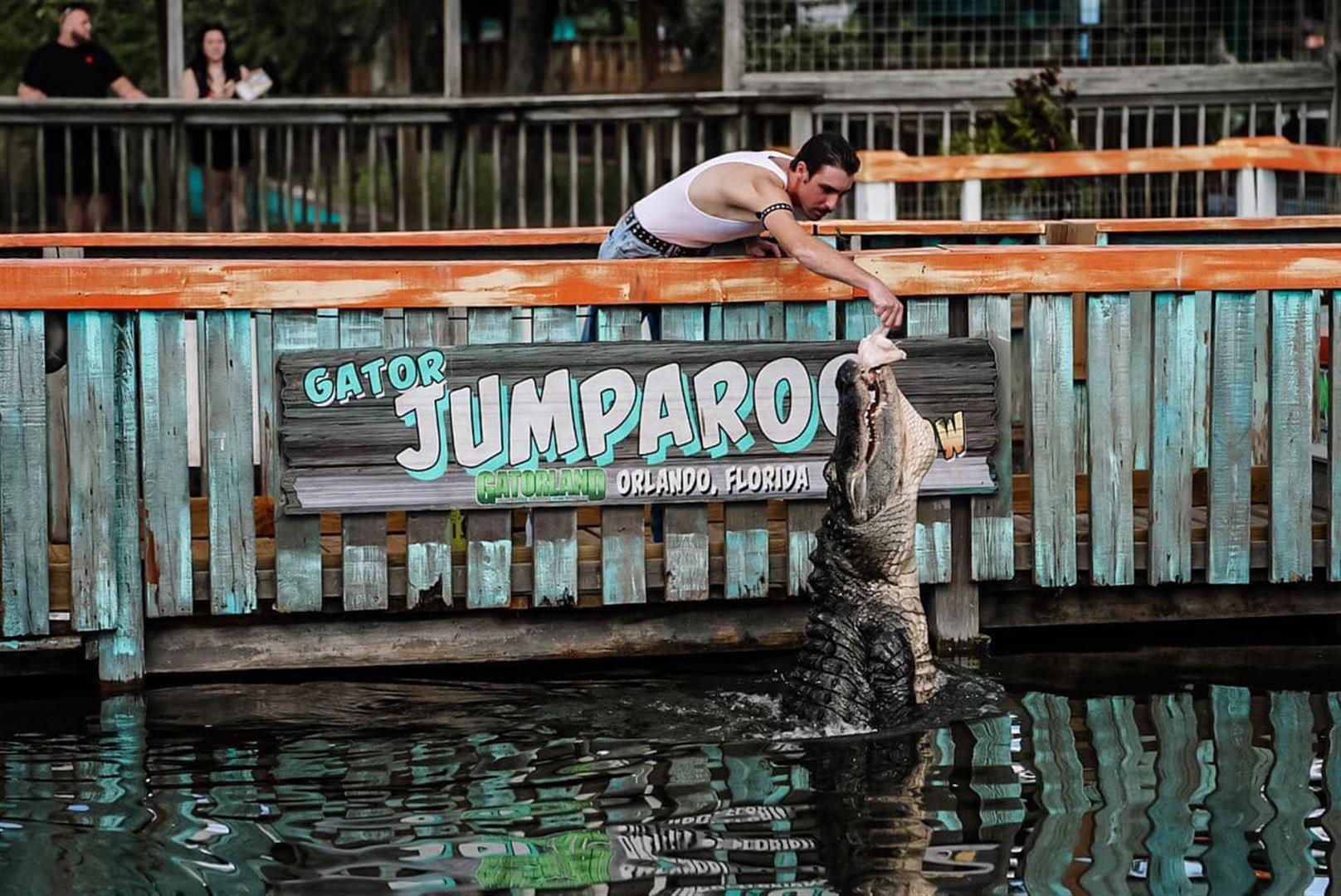 Gatorland