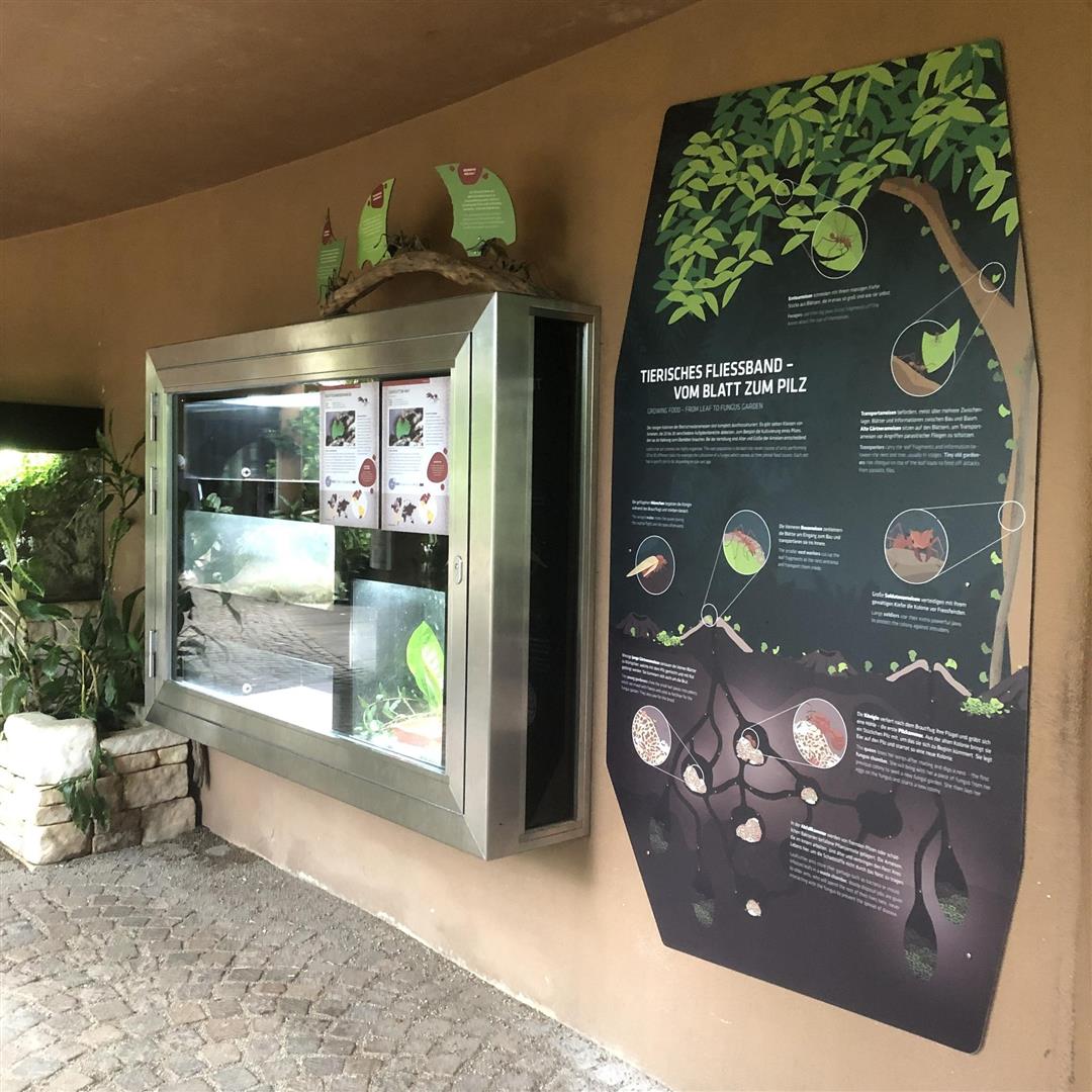 Hellabrunn Zoo