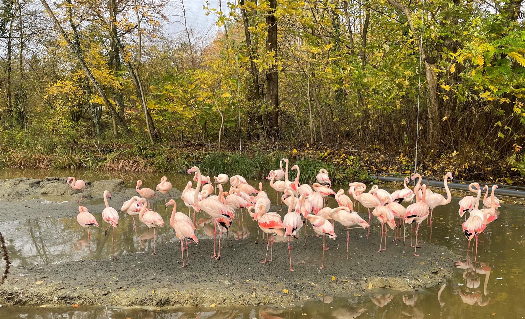 Hellabrunn Zoo