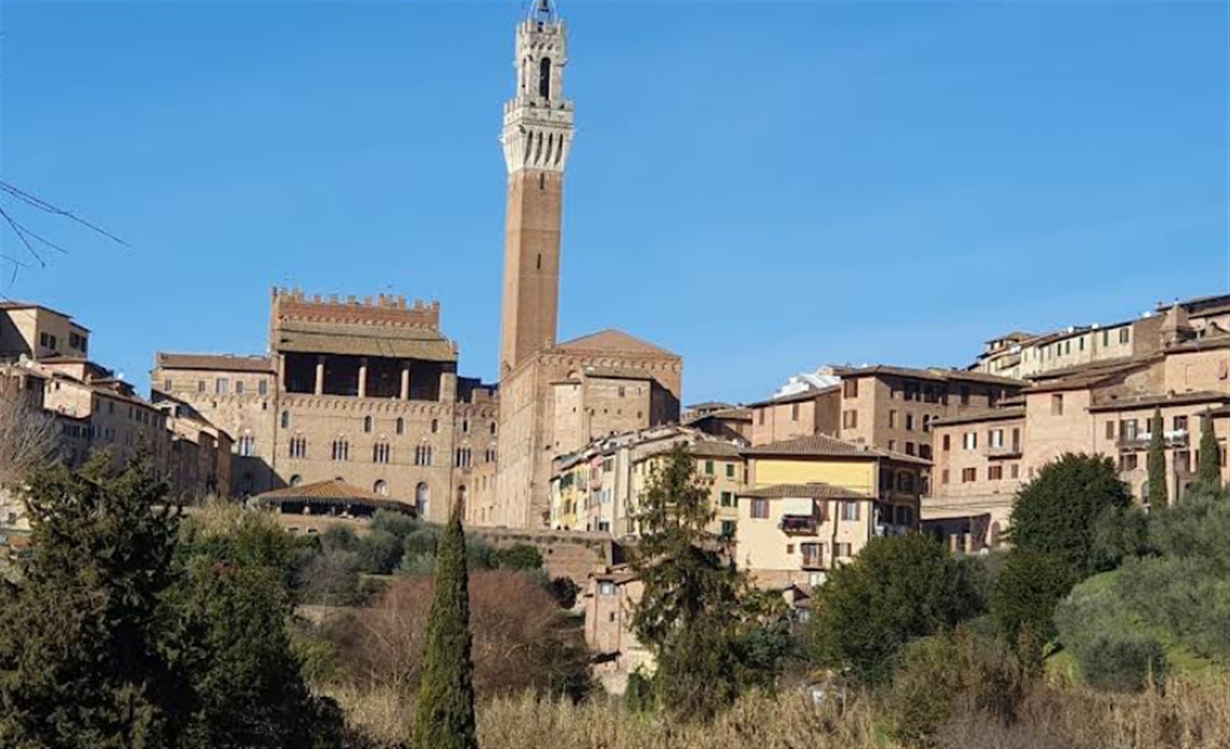 Ristorante/pizzeria All'Orto de' Pecci