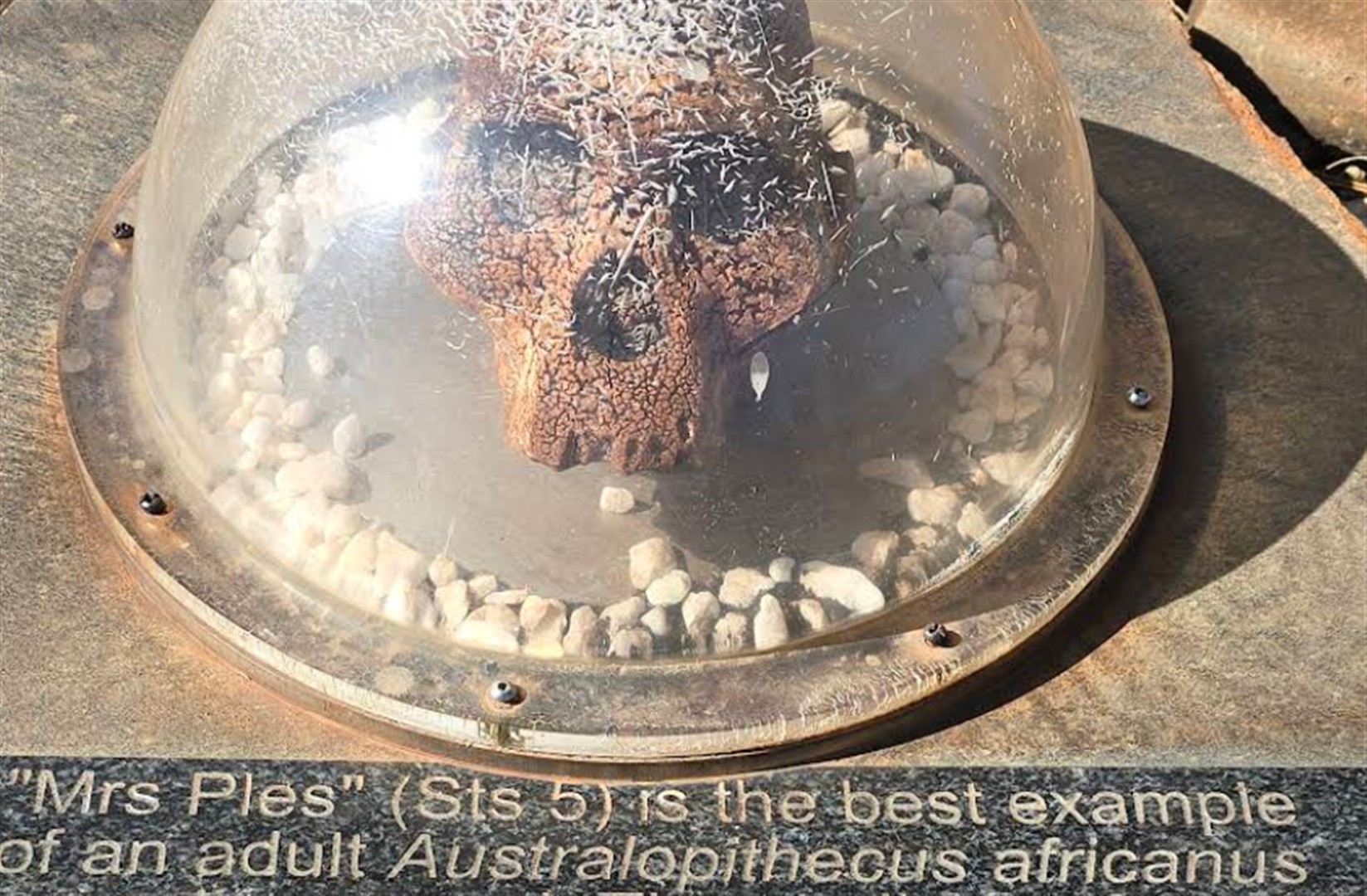 Maropeng: Official Visitor Centre for the Cradle o