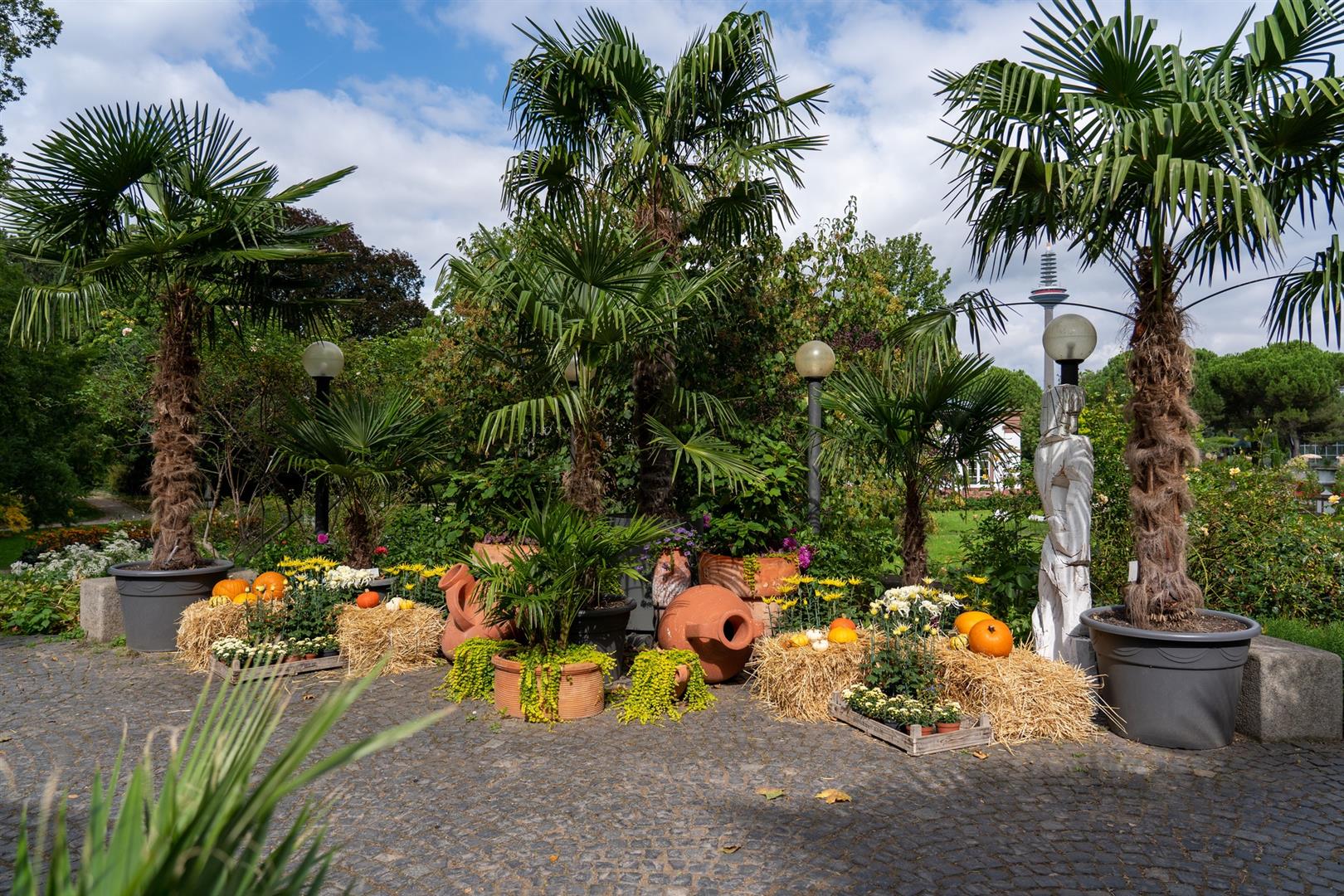 Palm Gardens