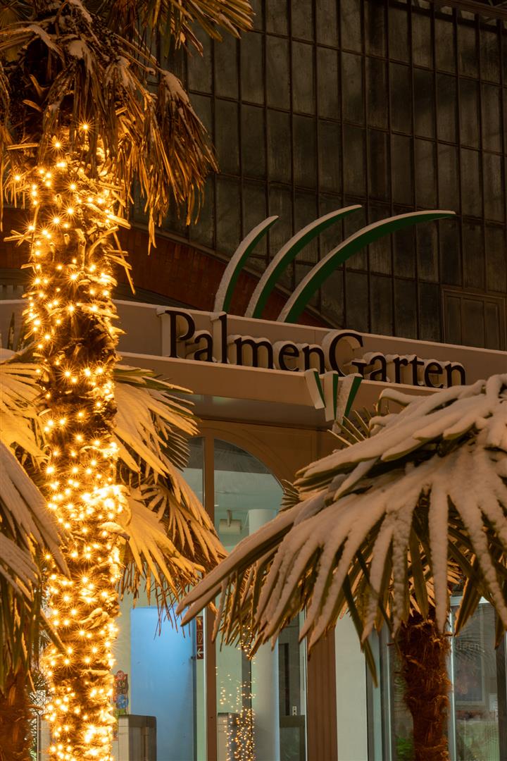 Palm Gardens