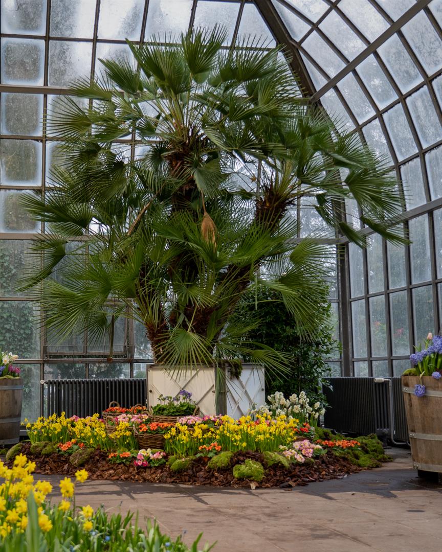 Palm Gardens