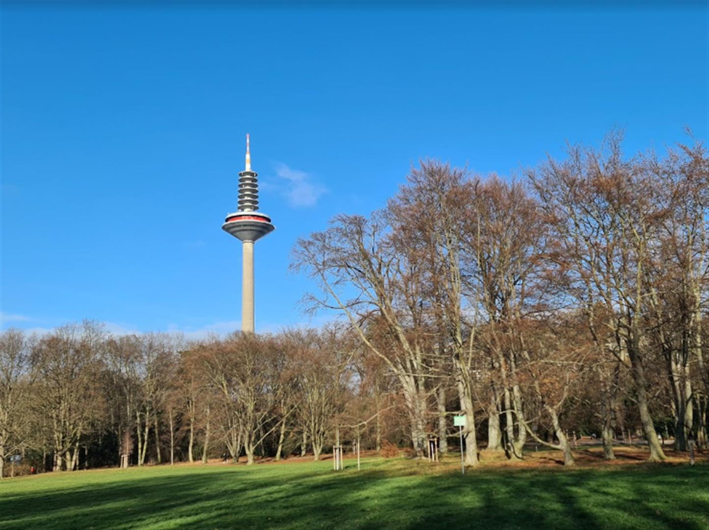 Grüneburg park