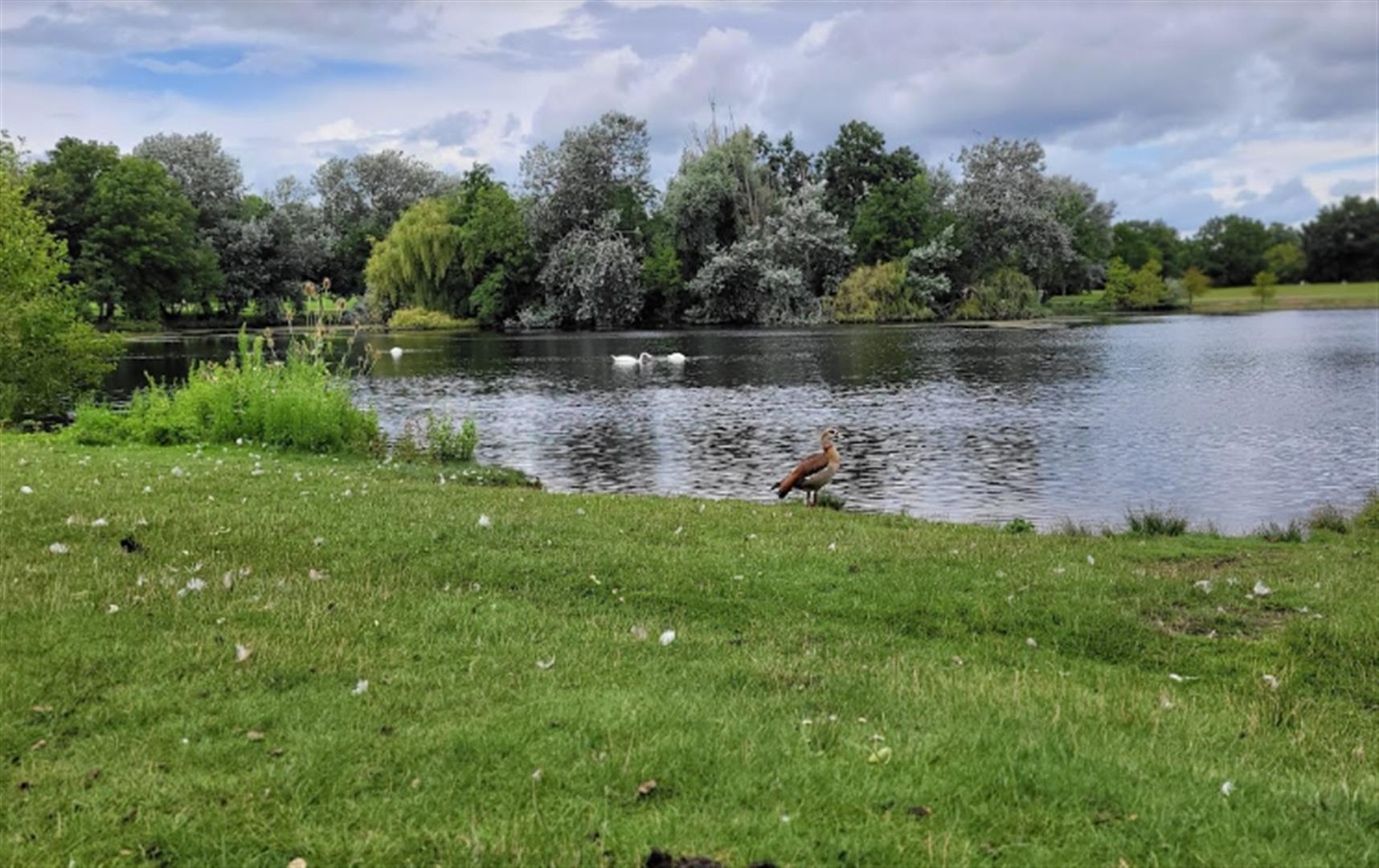 Rebstockpark