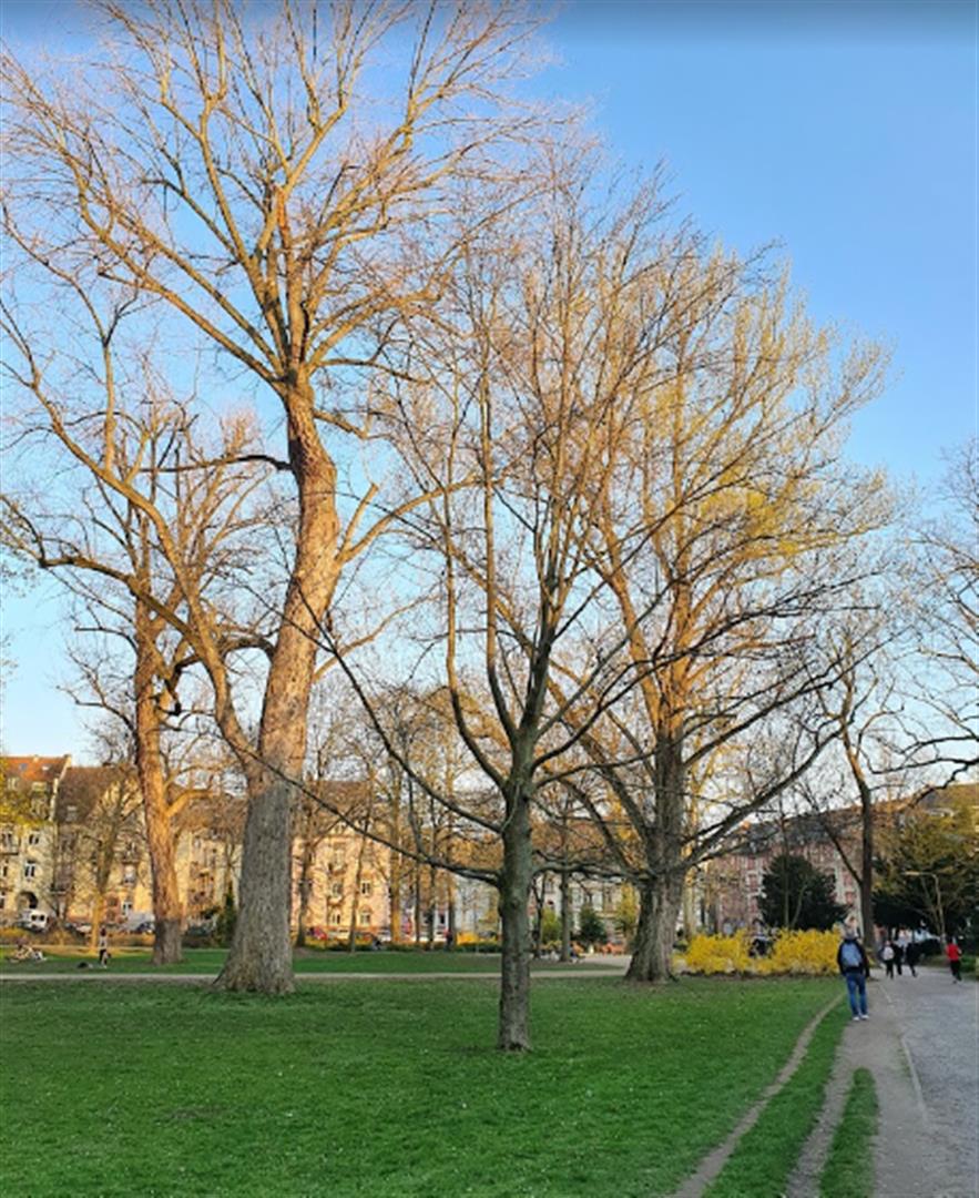 Günthersburgpark
