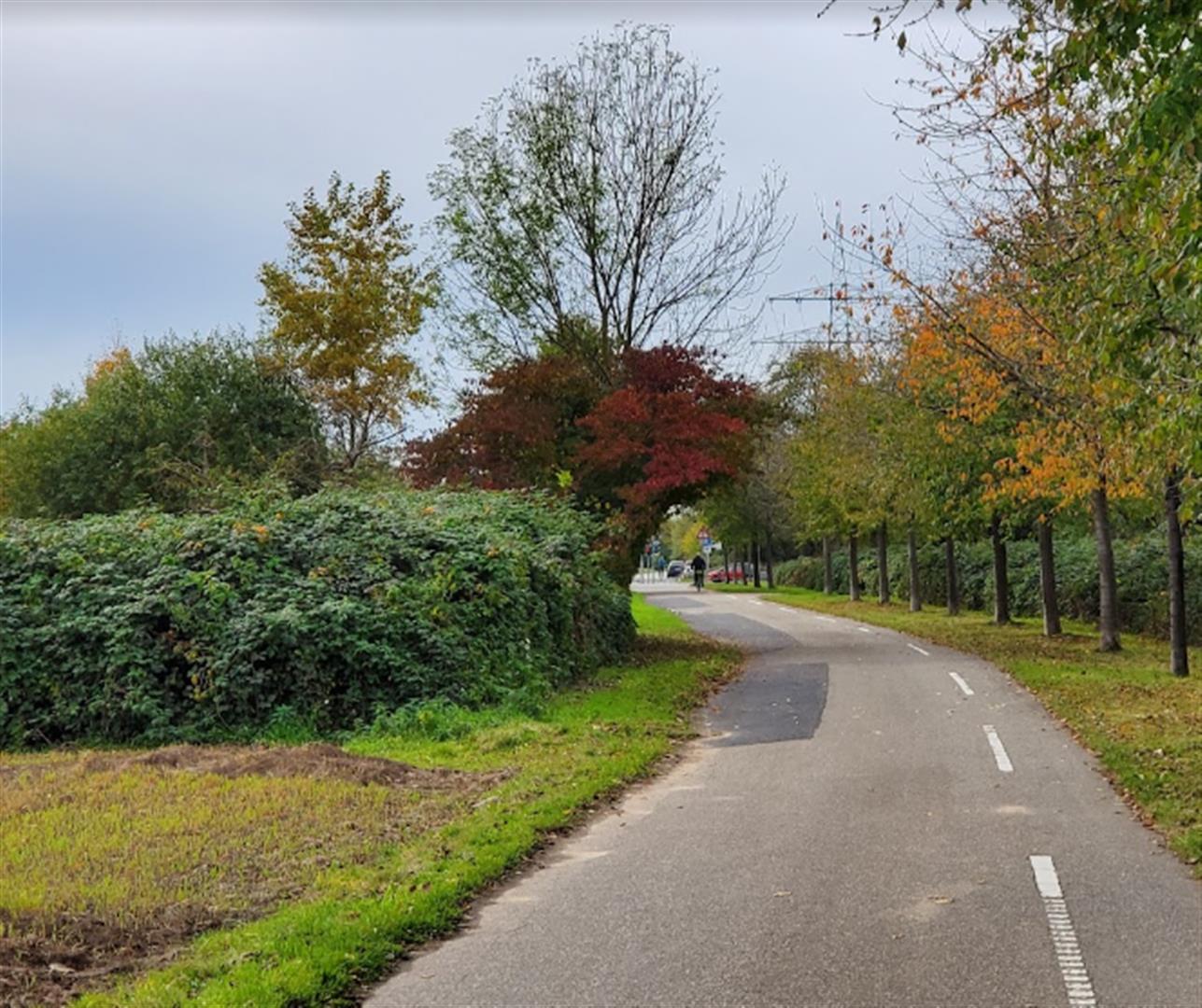 Schwanheimer Dünen