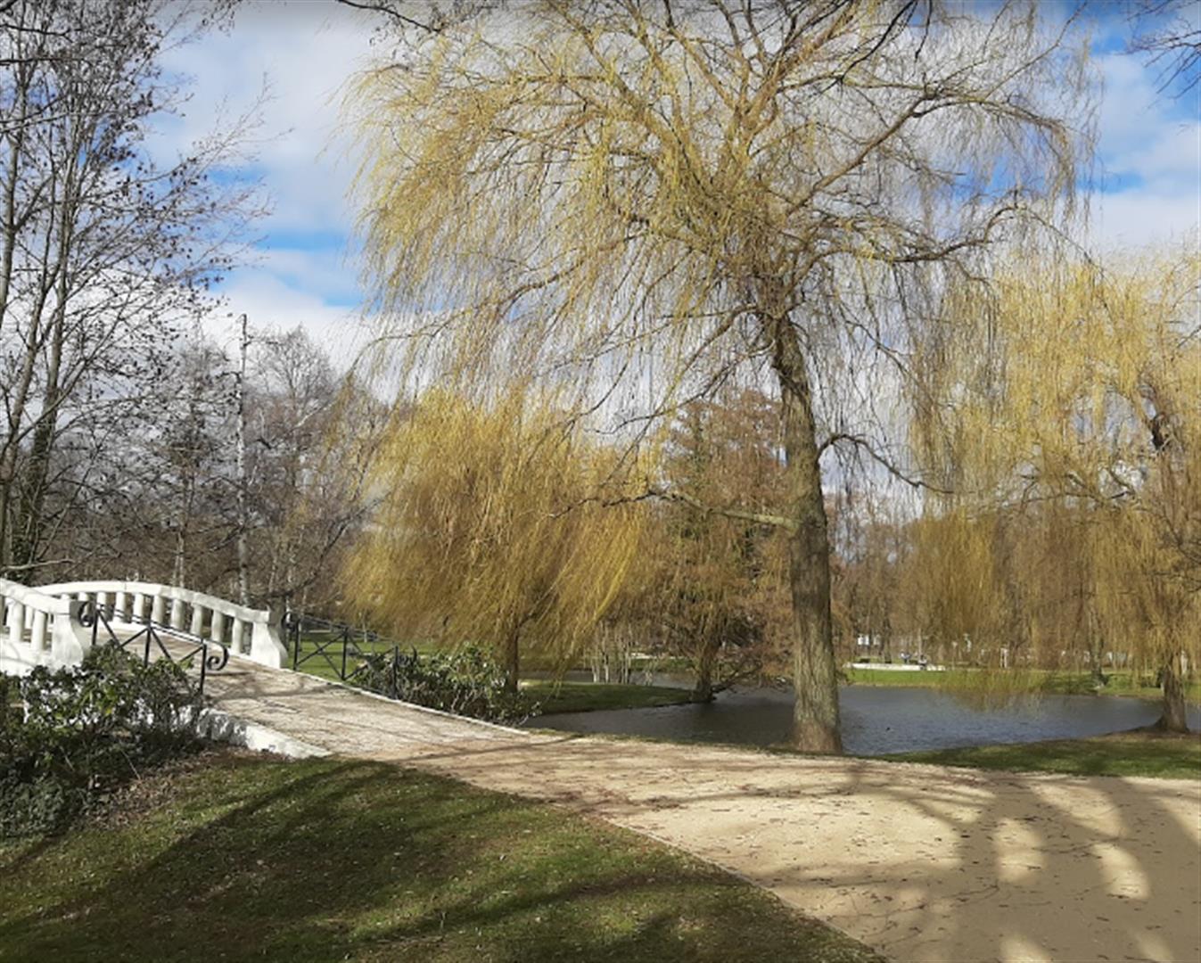 City Park Hoechst