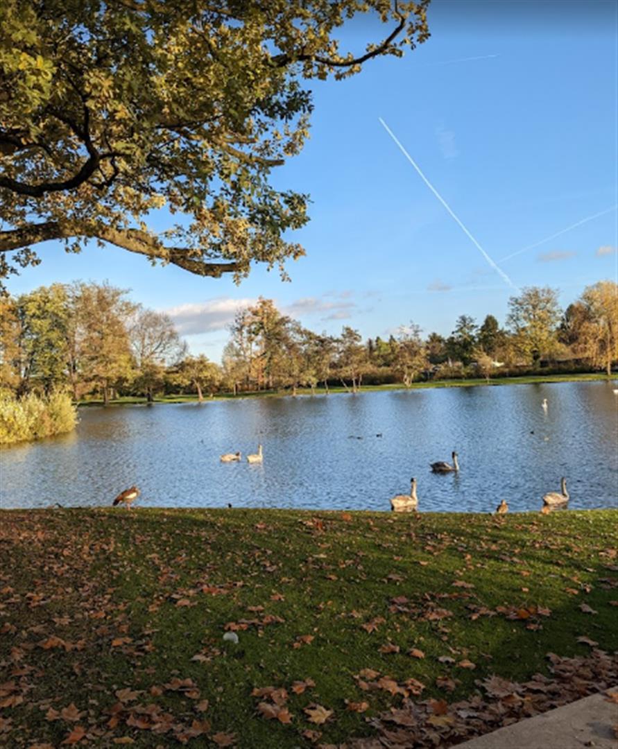 City Park Hoechst