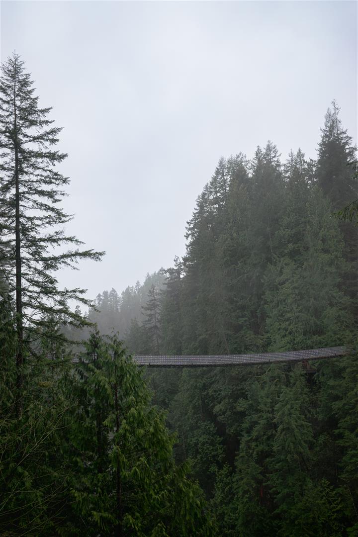 Capilano Suspension Bridge