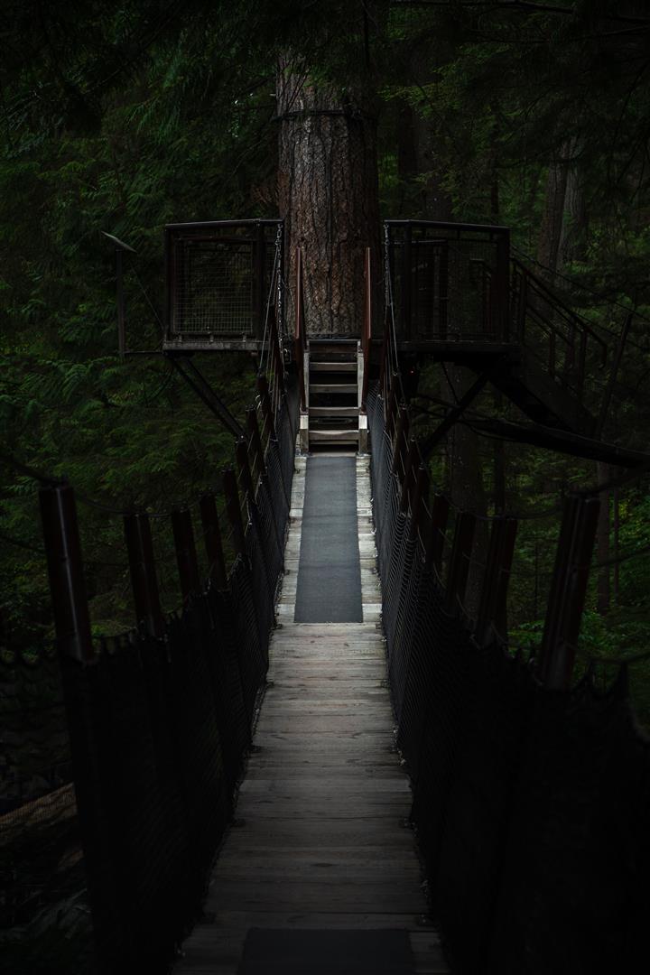 Capilano Suspension Bridge