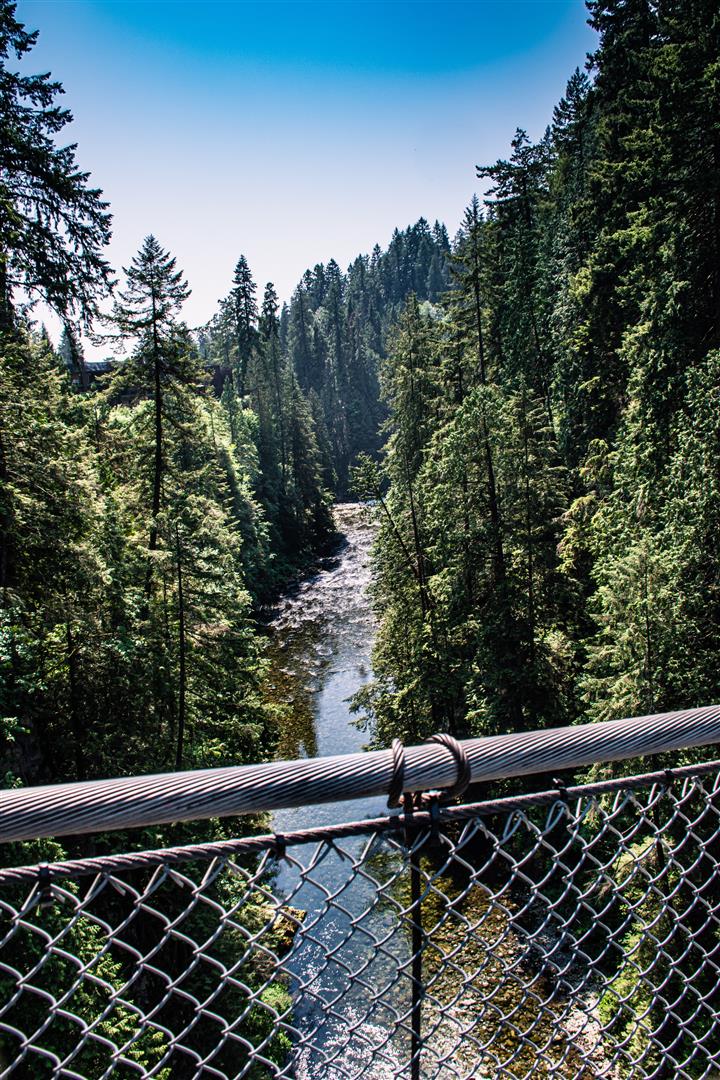 Capilano Suspension Bridge