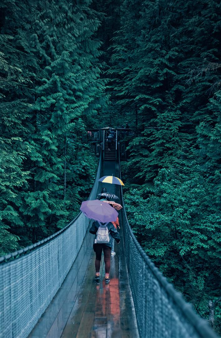 Capilano Suspension Bridge