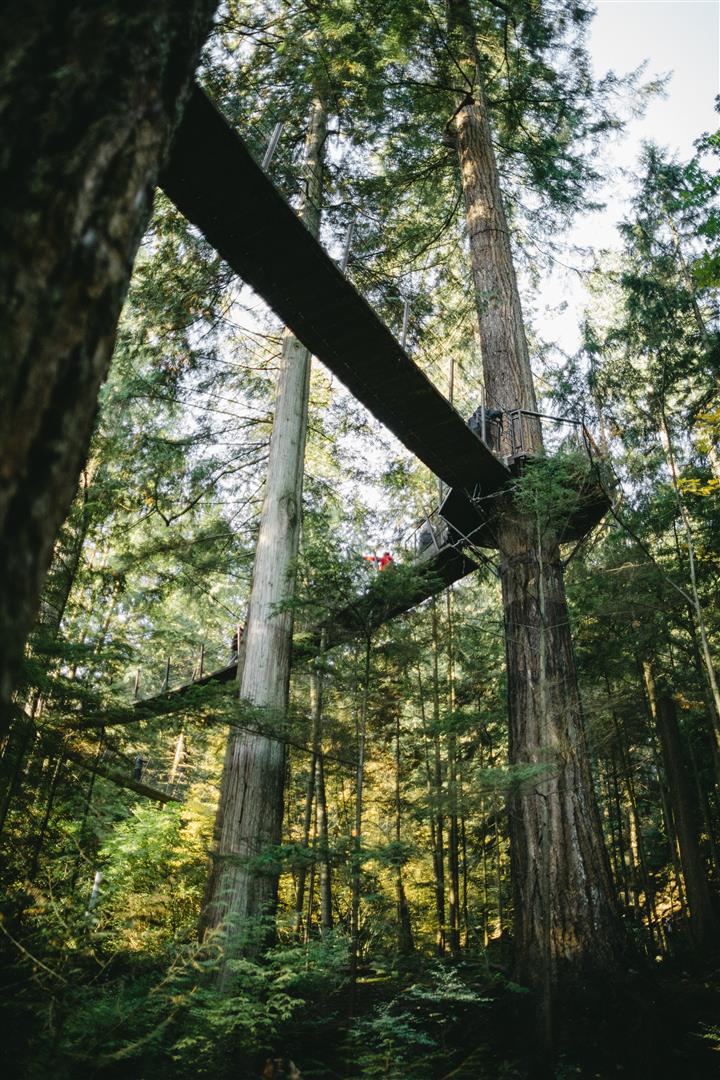 Capilano Suspension Bridge