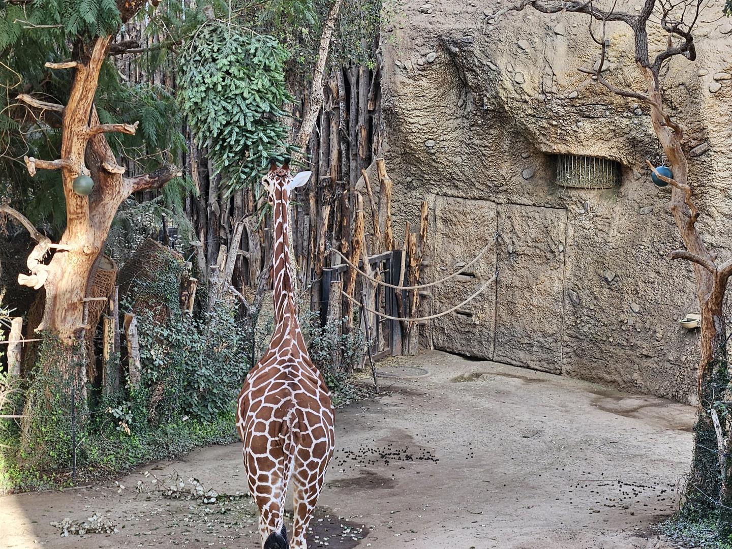 Zoo Zürich
