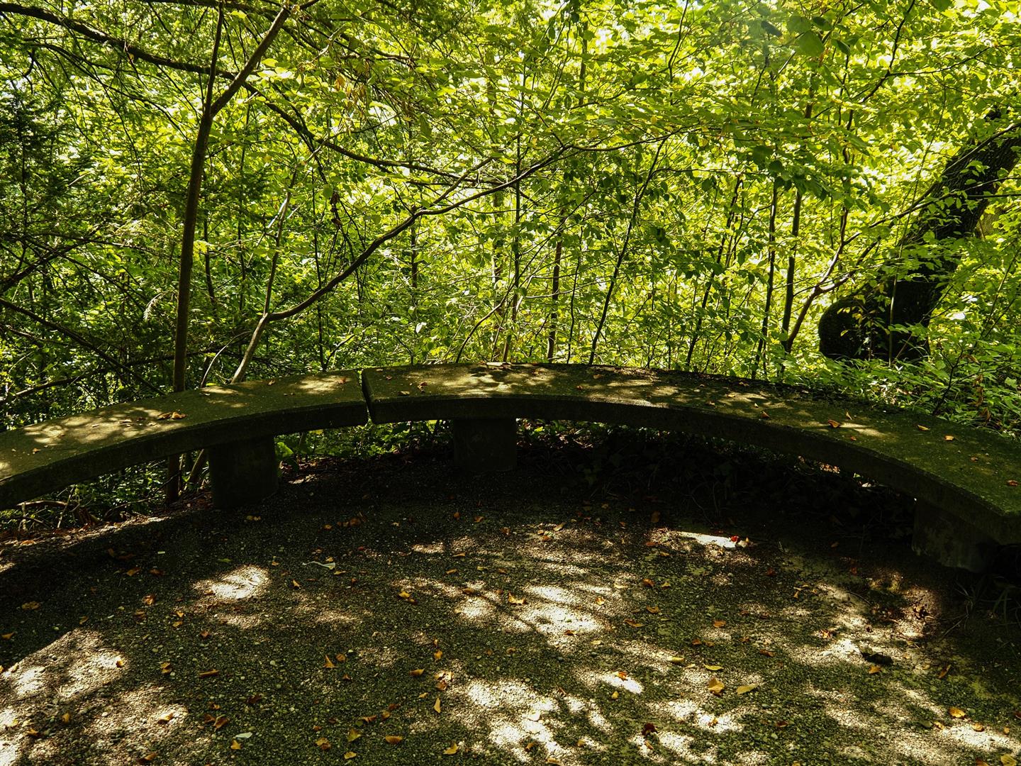 Botanical Garden