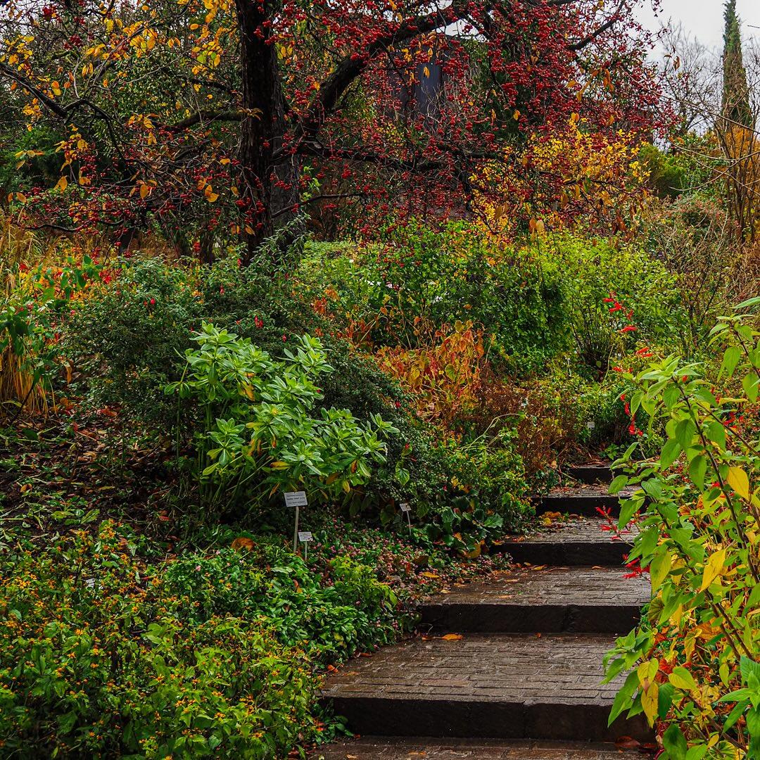 Botanical Garden