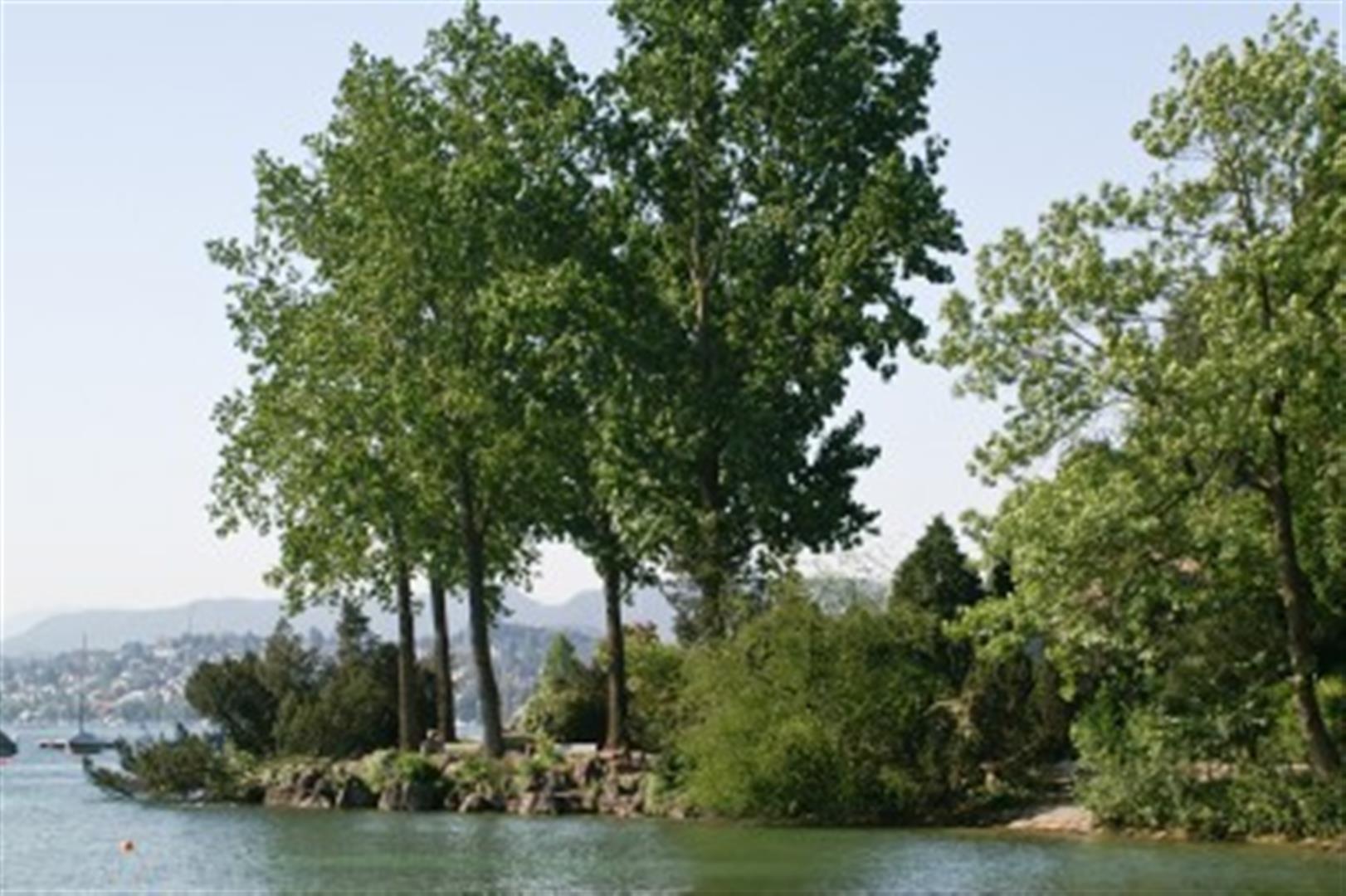 Arboretum Zürich