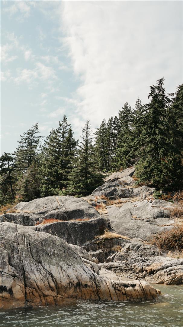 Lighthouse Park