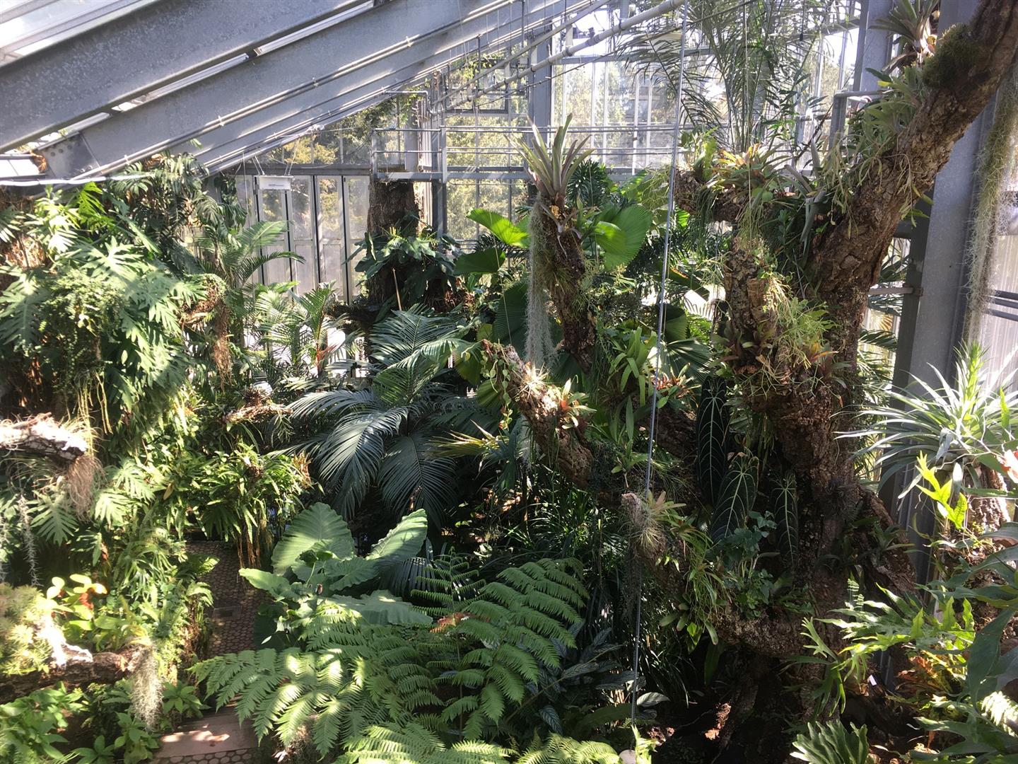 Conservatory and Botanical garden Geneva