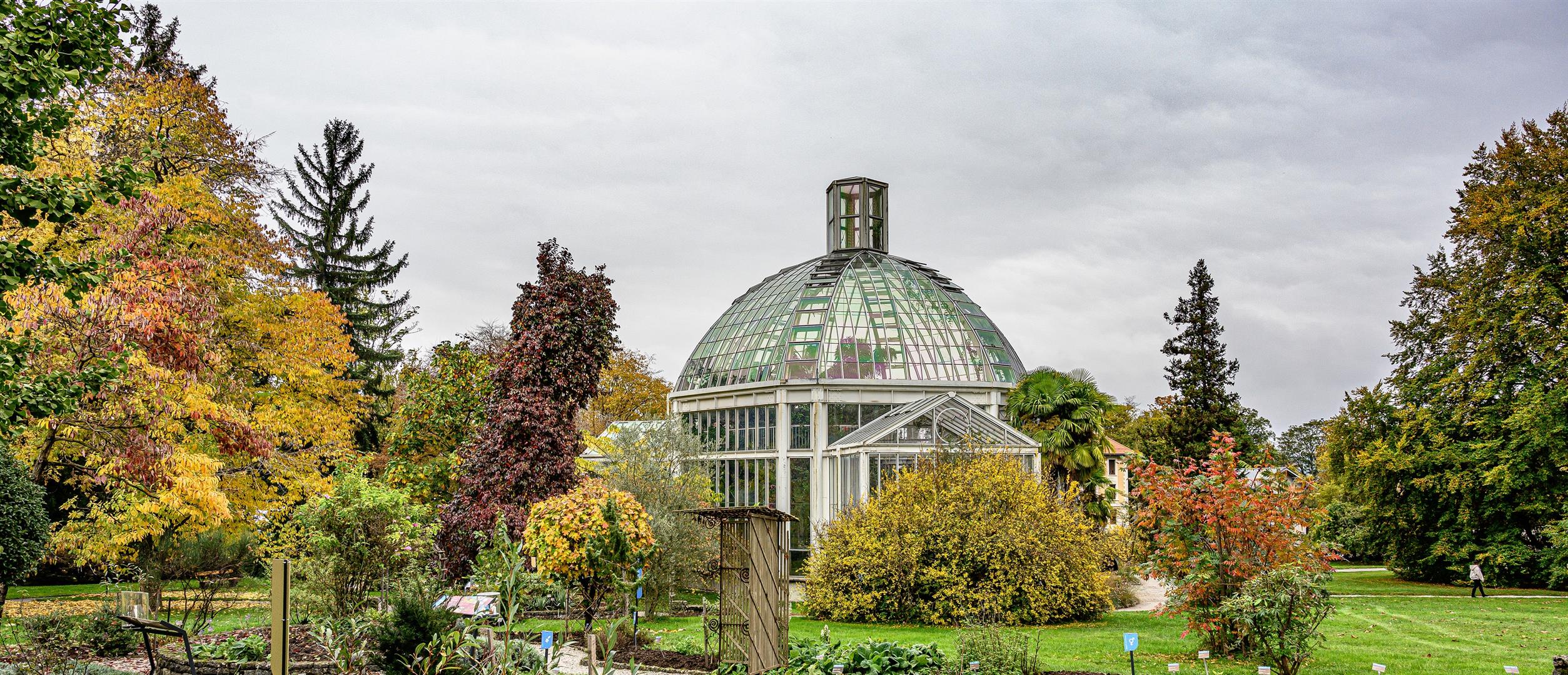 Conservatory and Botanical garden Geneva