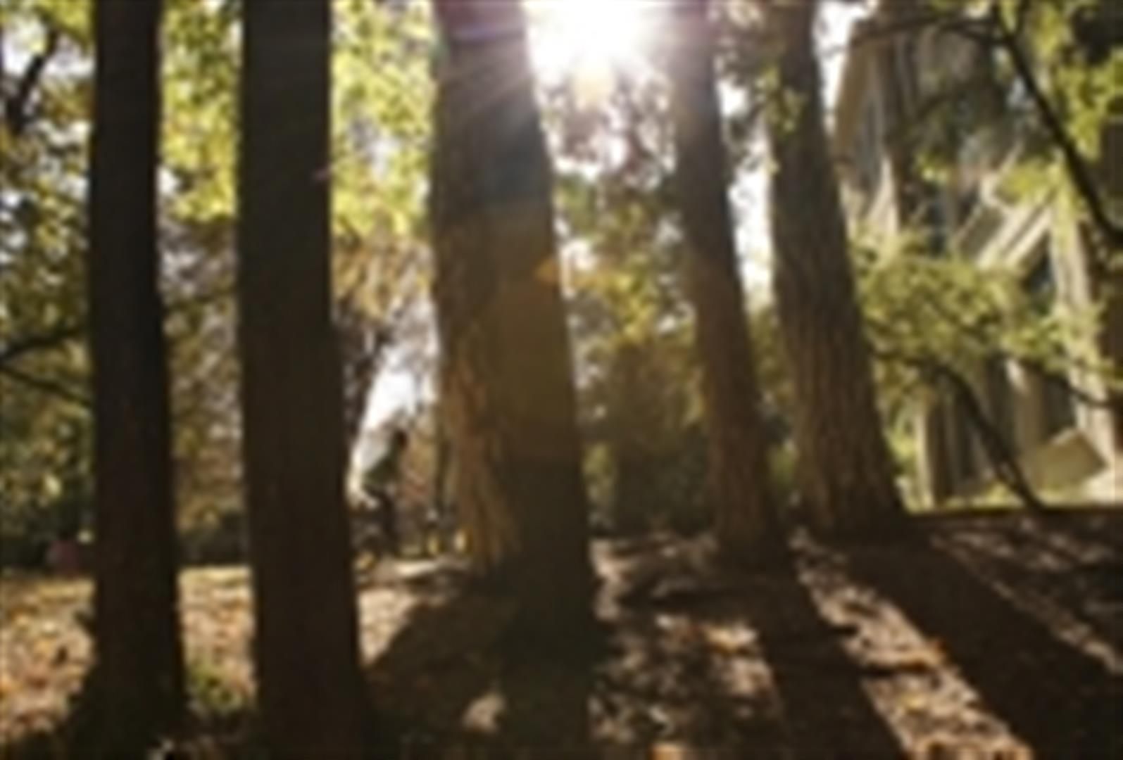 Park of Malagnou